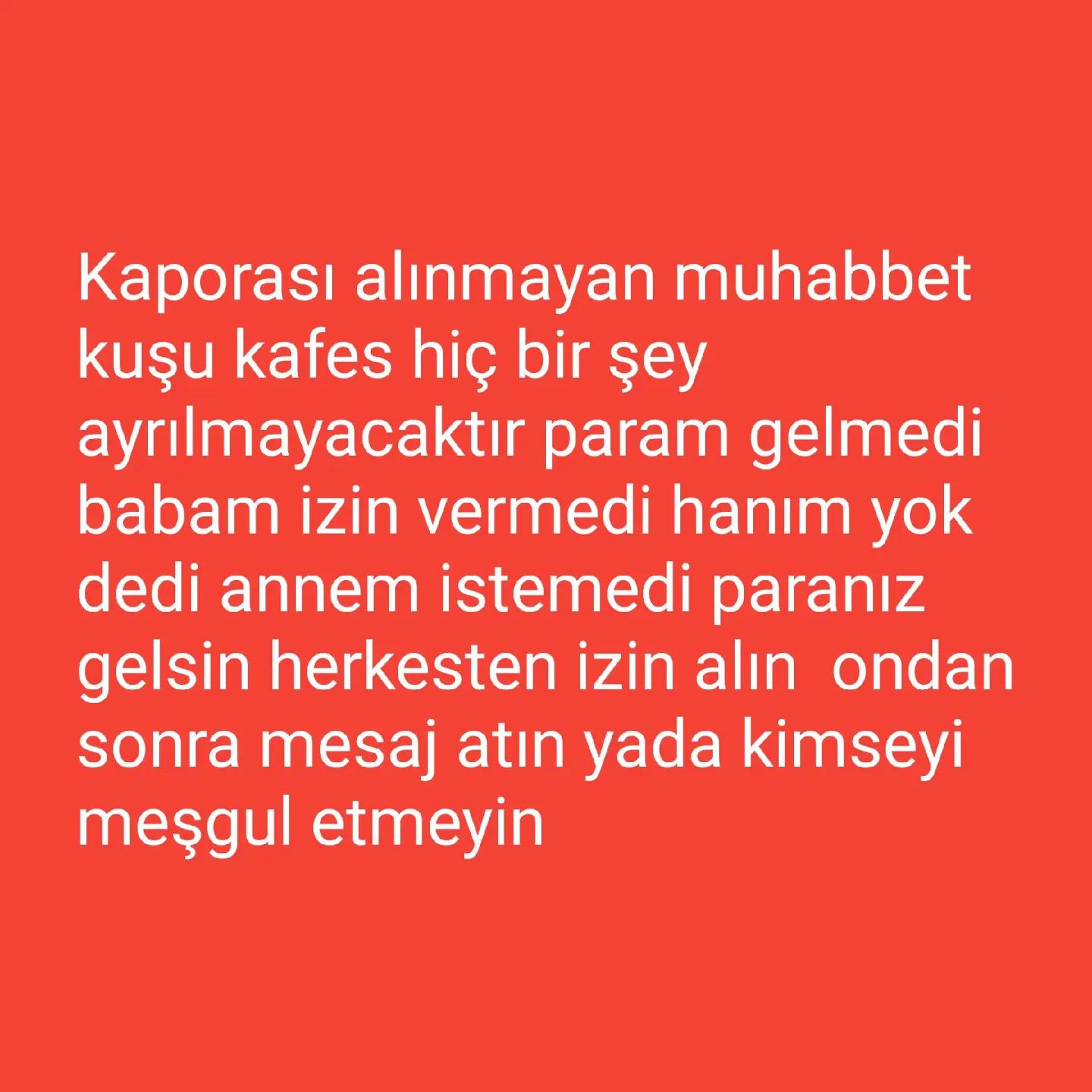 @MURAT ADIGÜZEL