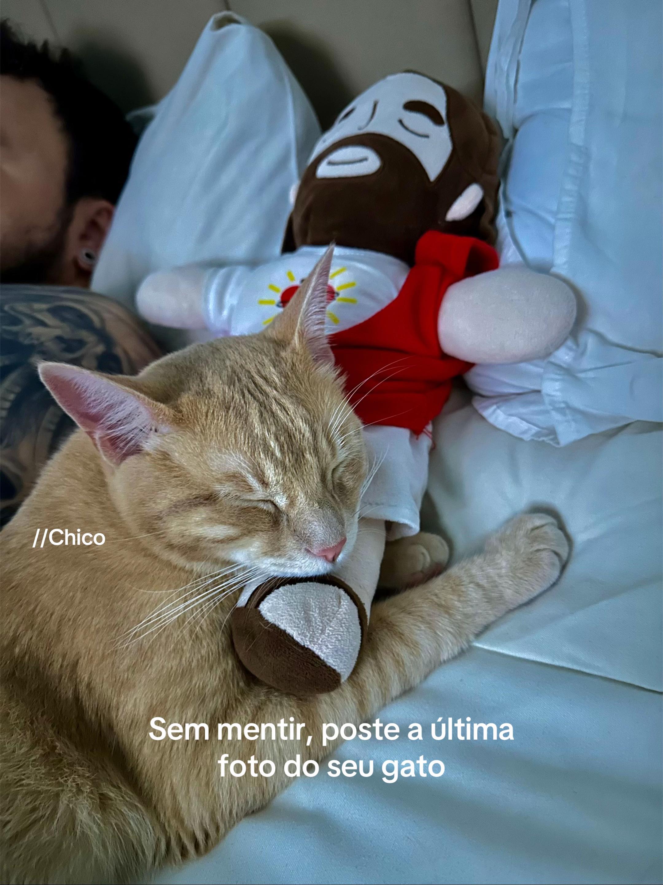 @Mônica Frutuoso