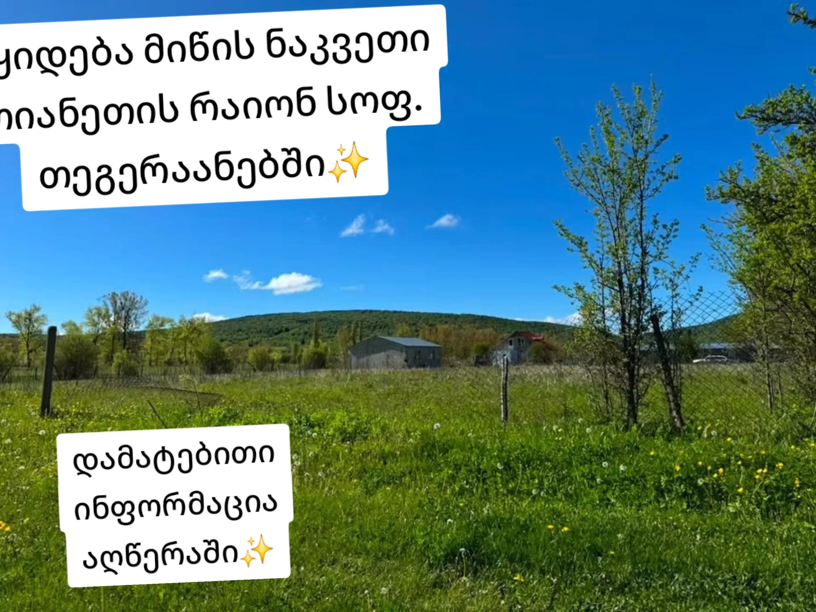 @๐ธKristine ๐ธ