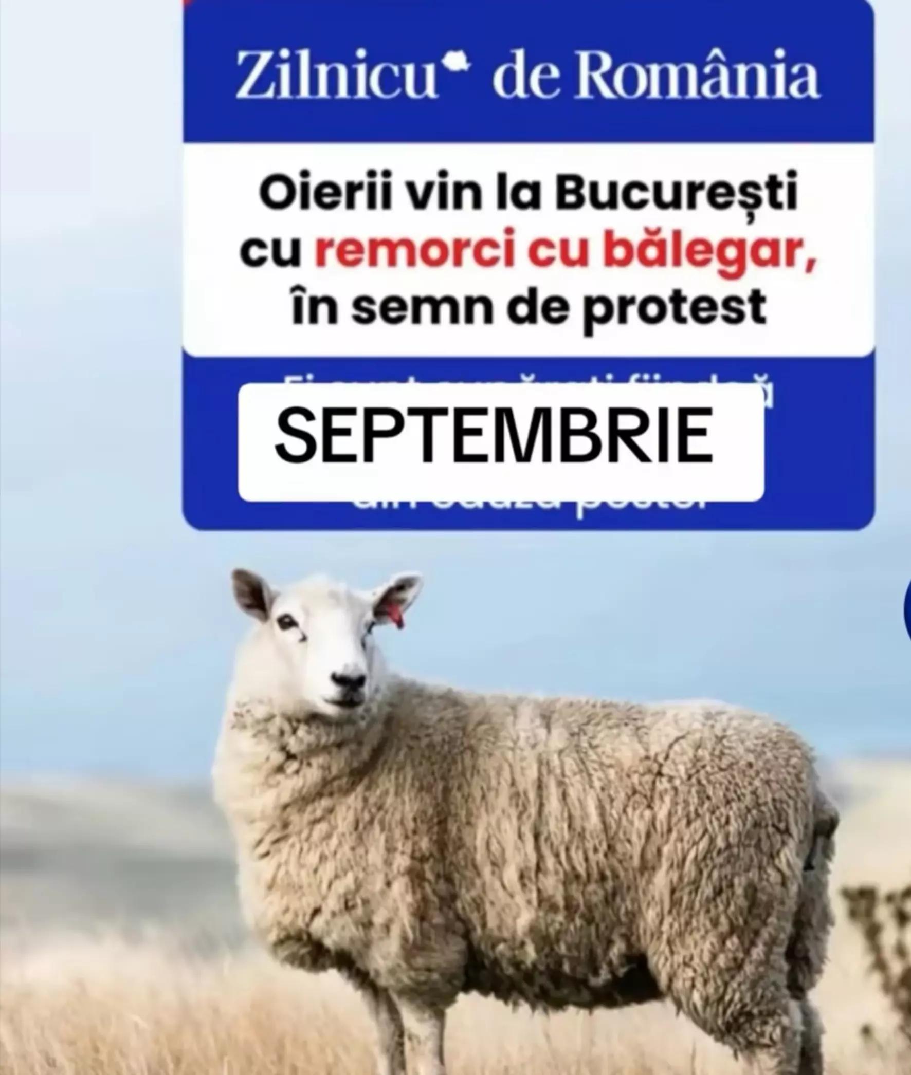 @Nina🇷🇴🤝❤️