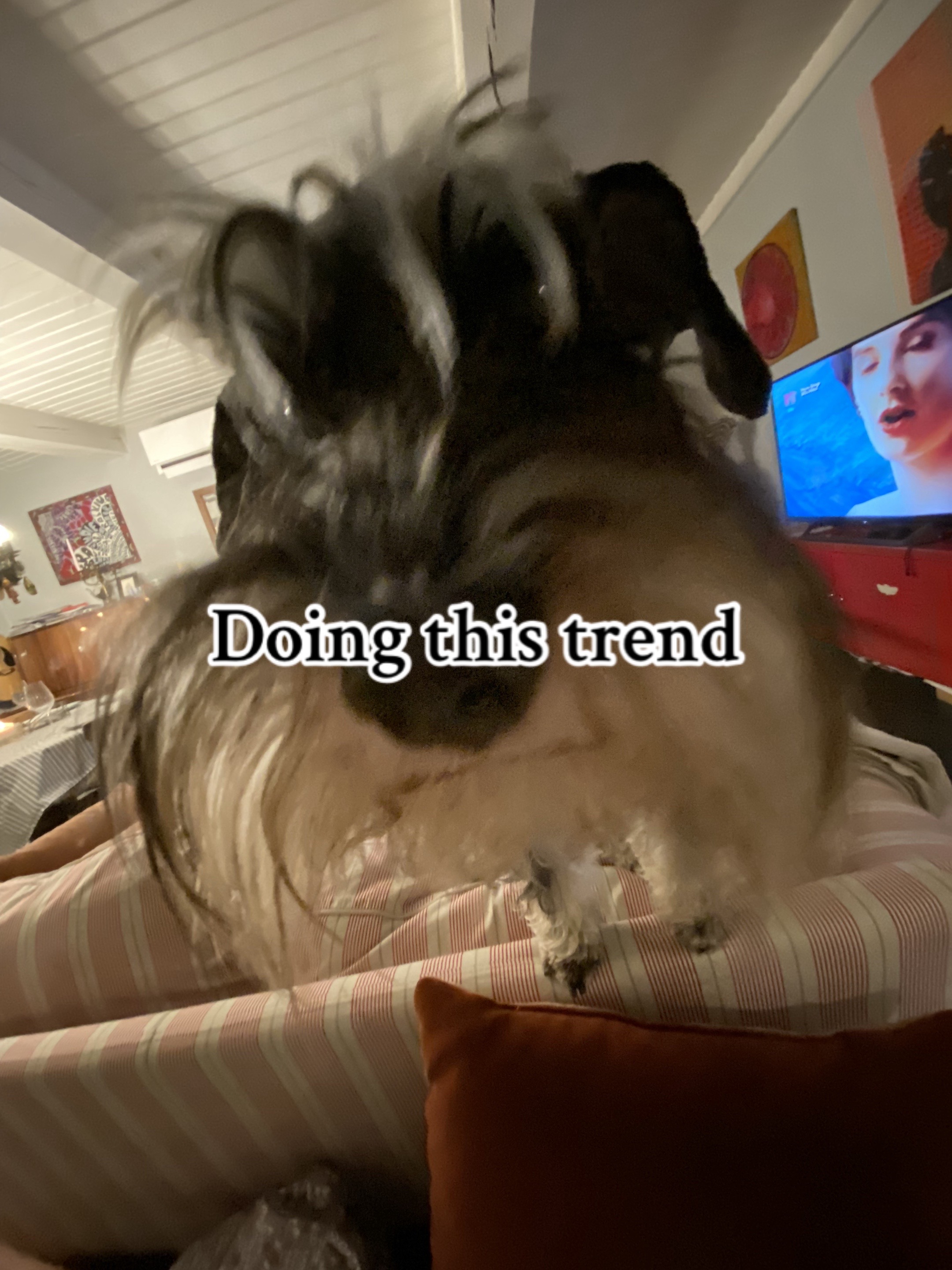 @💫