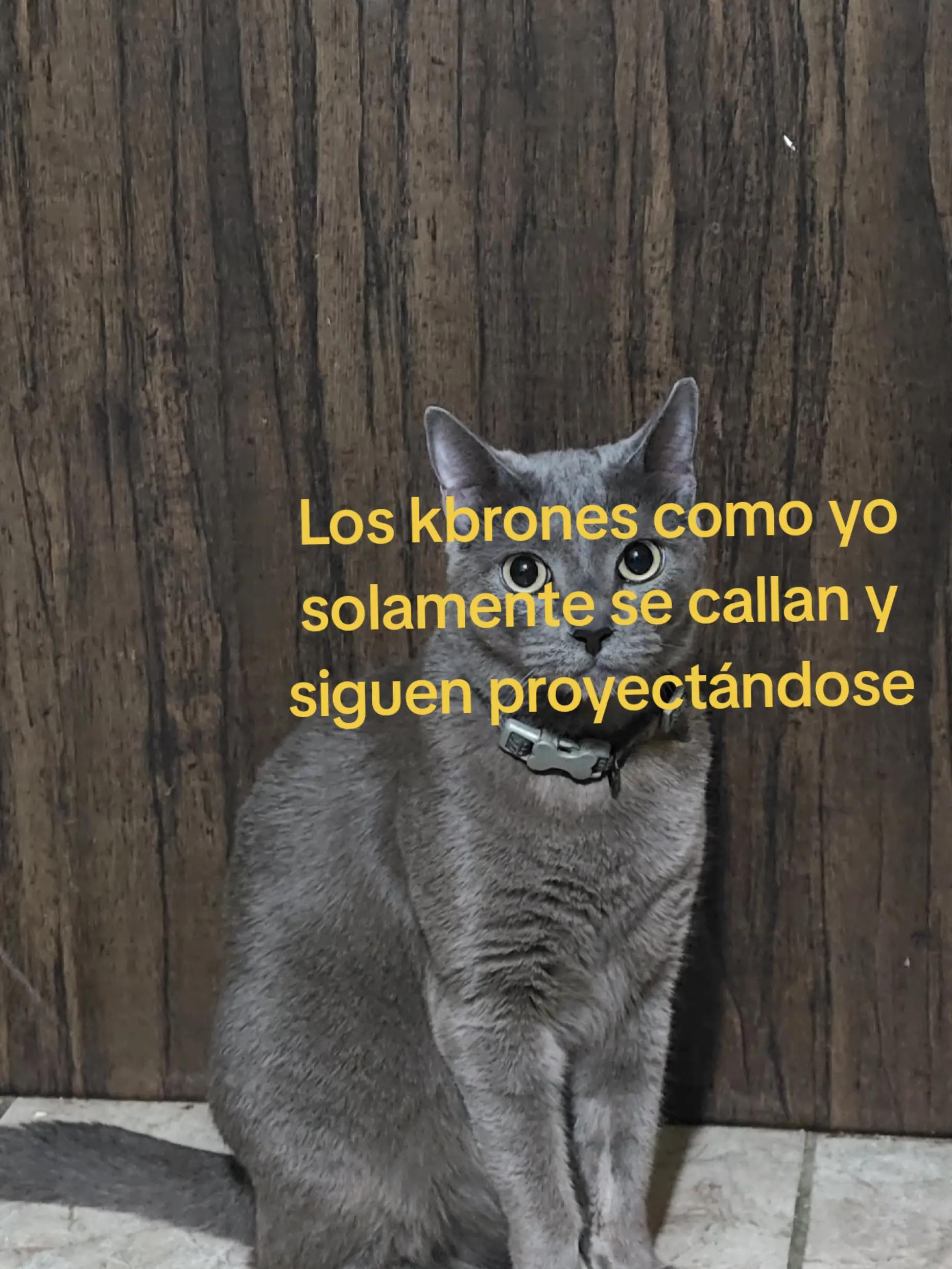 @G4b_n