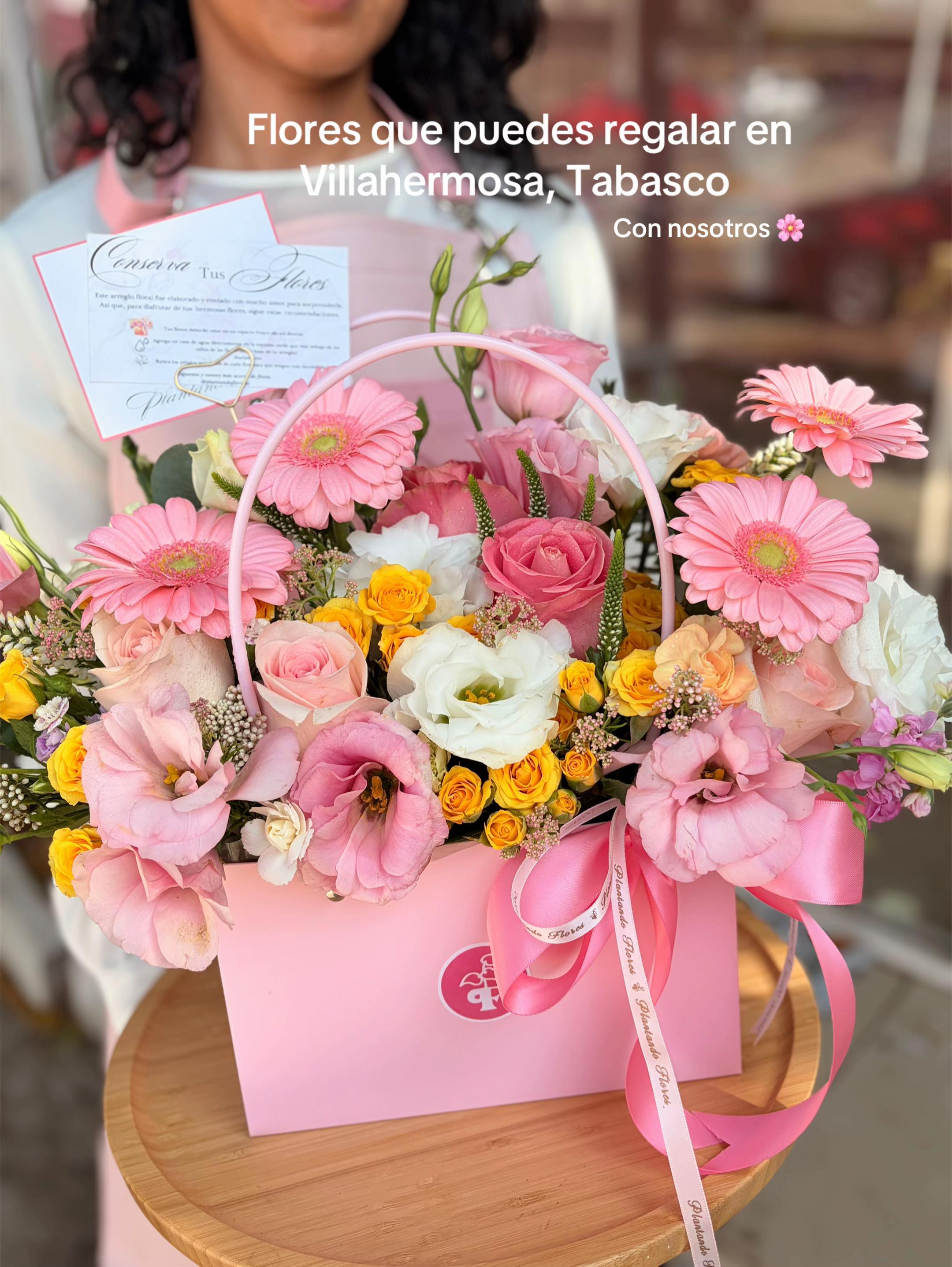 @plantandoflores 🌸