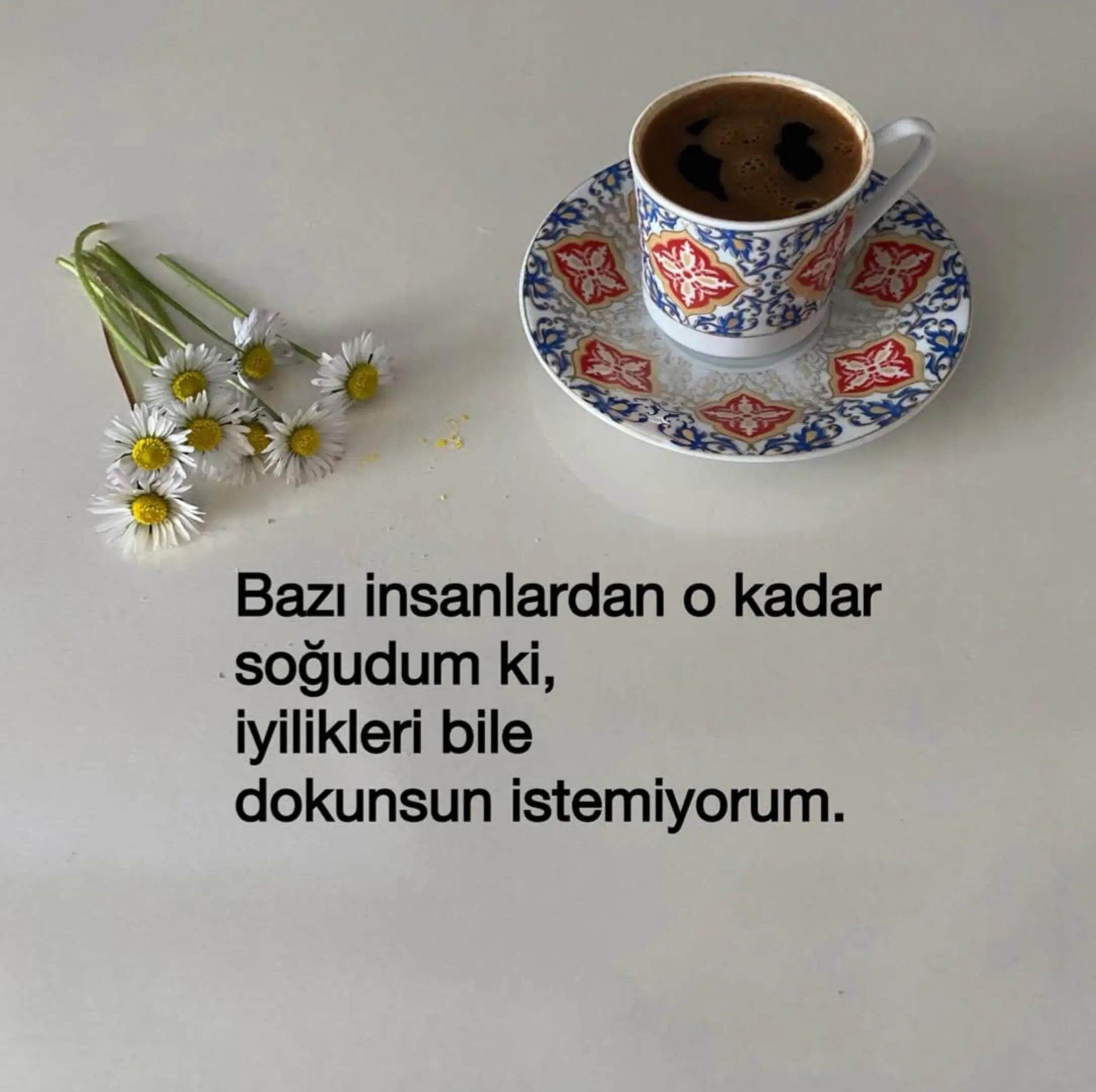 @65sevgim_gl
