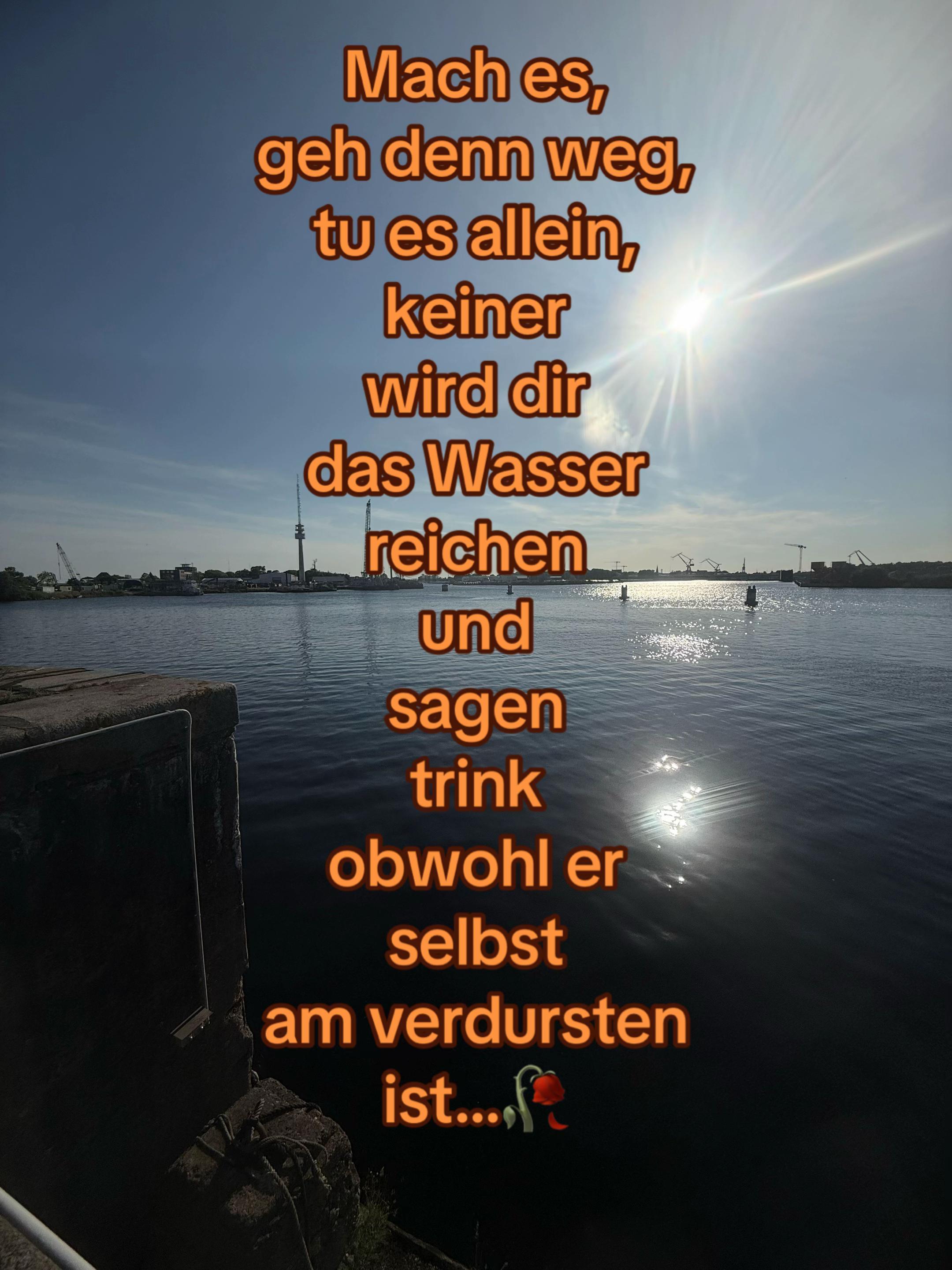 @mustidrive