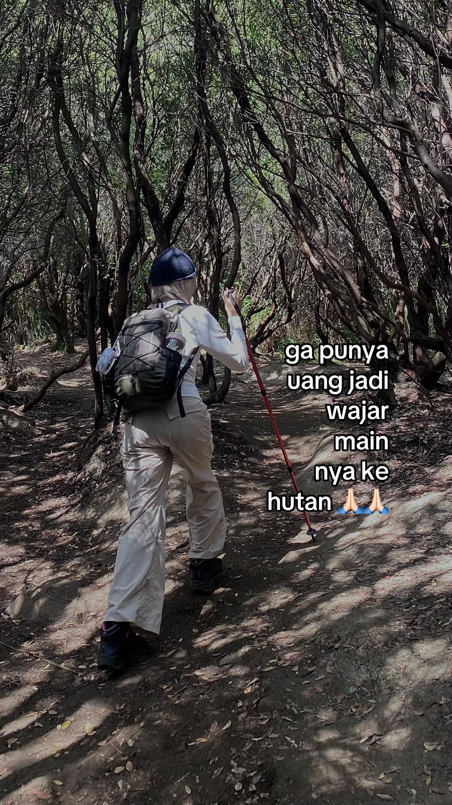 @๐ผ เผโโฟ