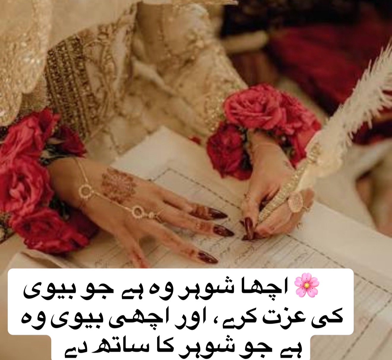 @Monika USA🇵🇰🇺🇸