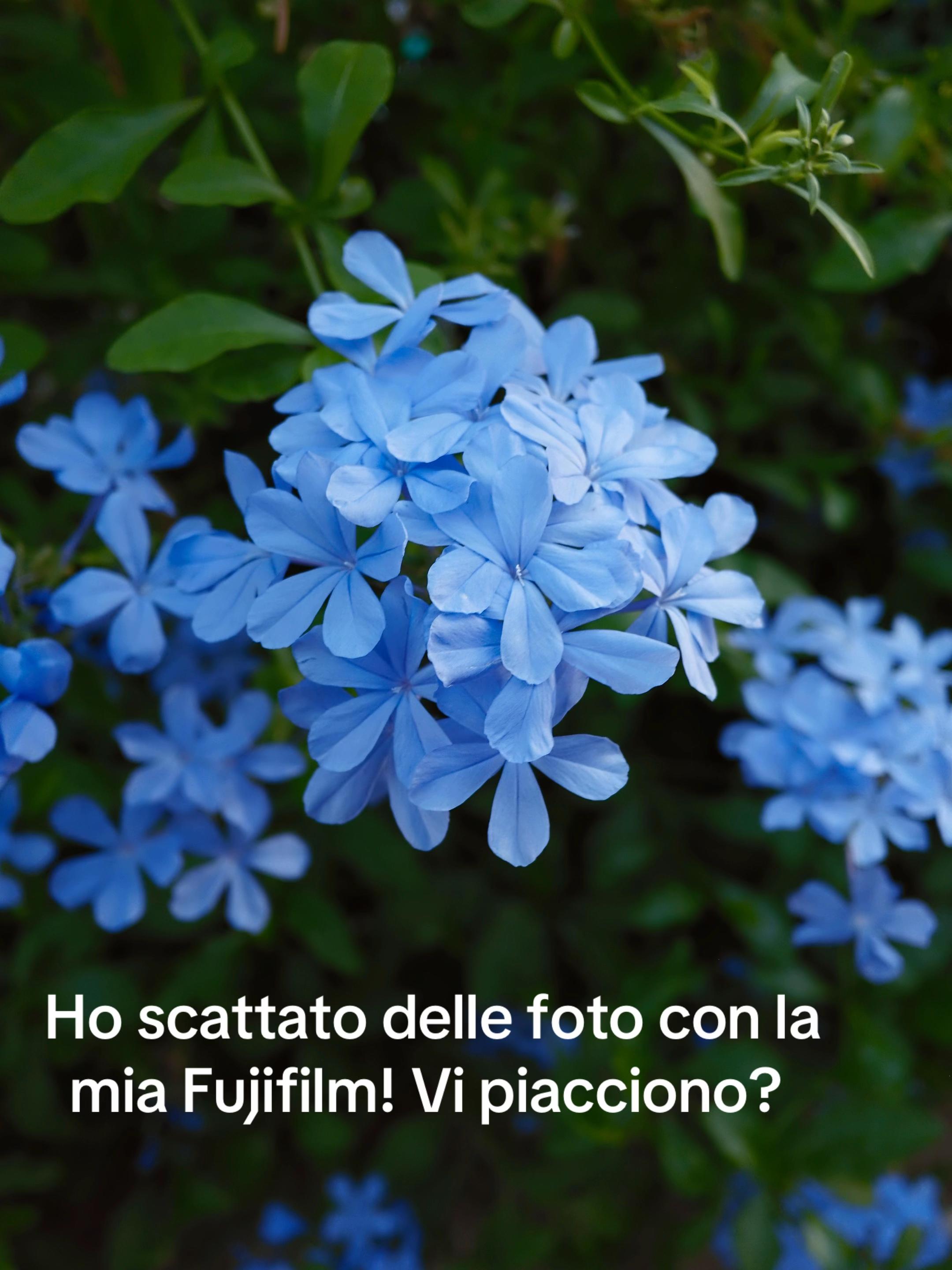 @Makigargiulo