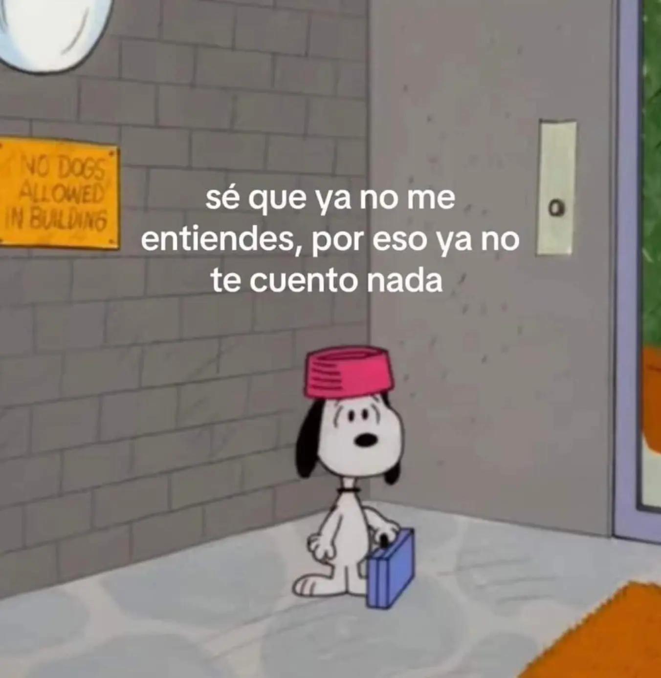 @Carlos Alberto