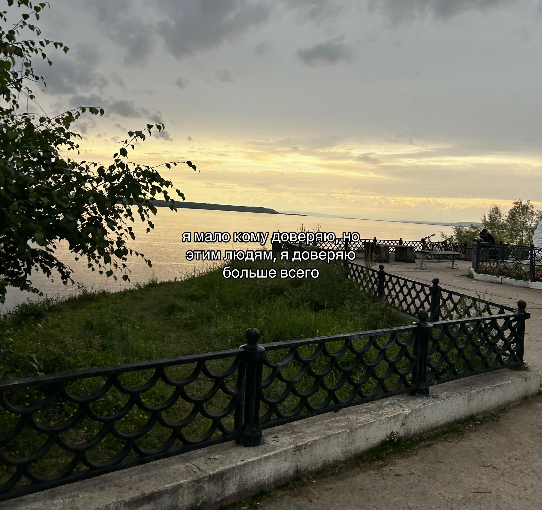 @айви