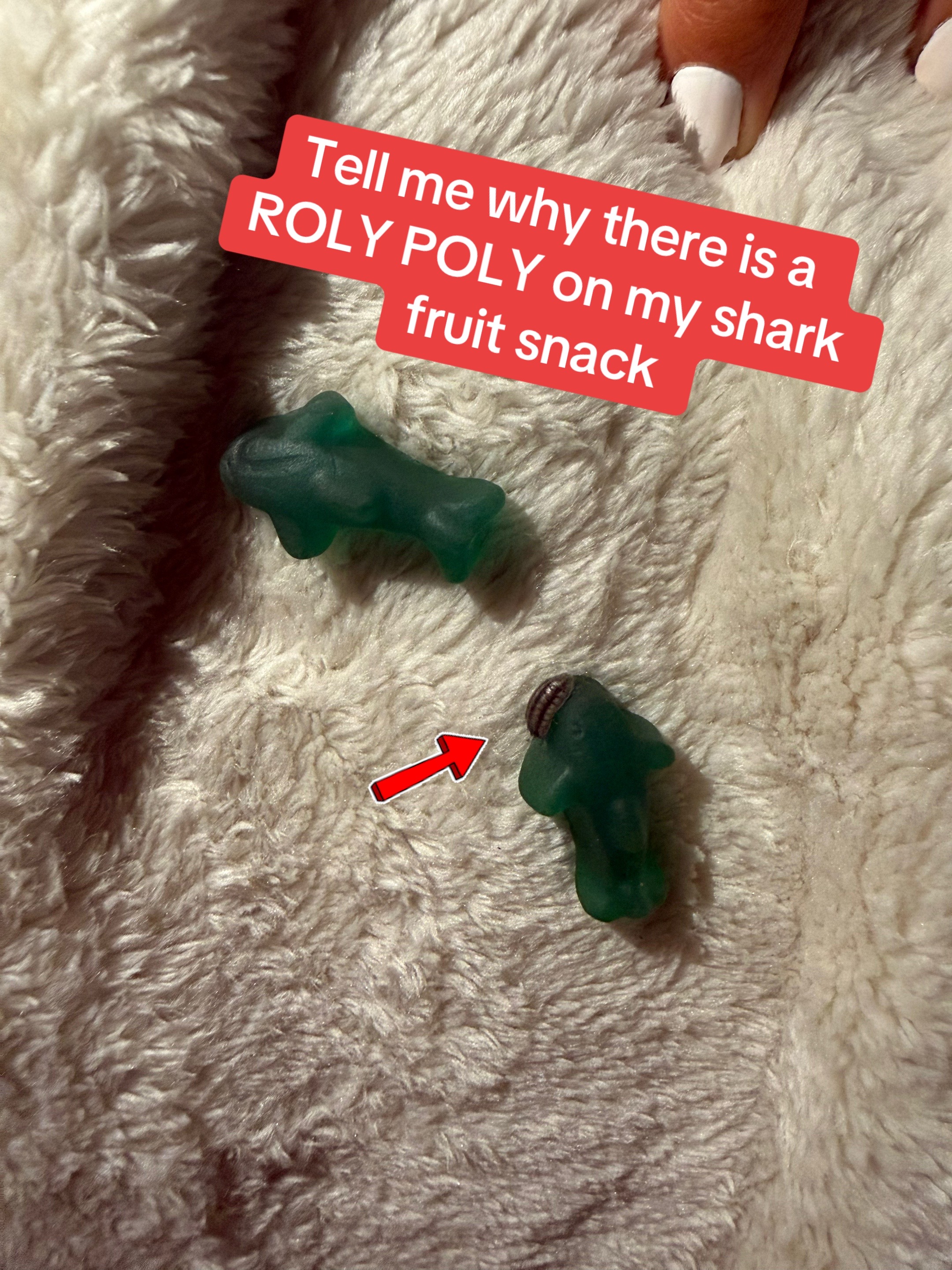 @sunshinenrainbowsnjesus