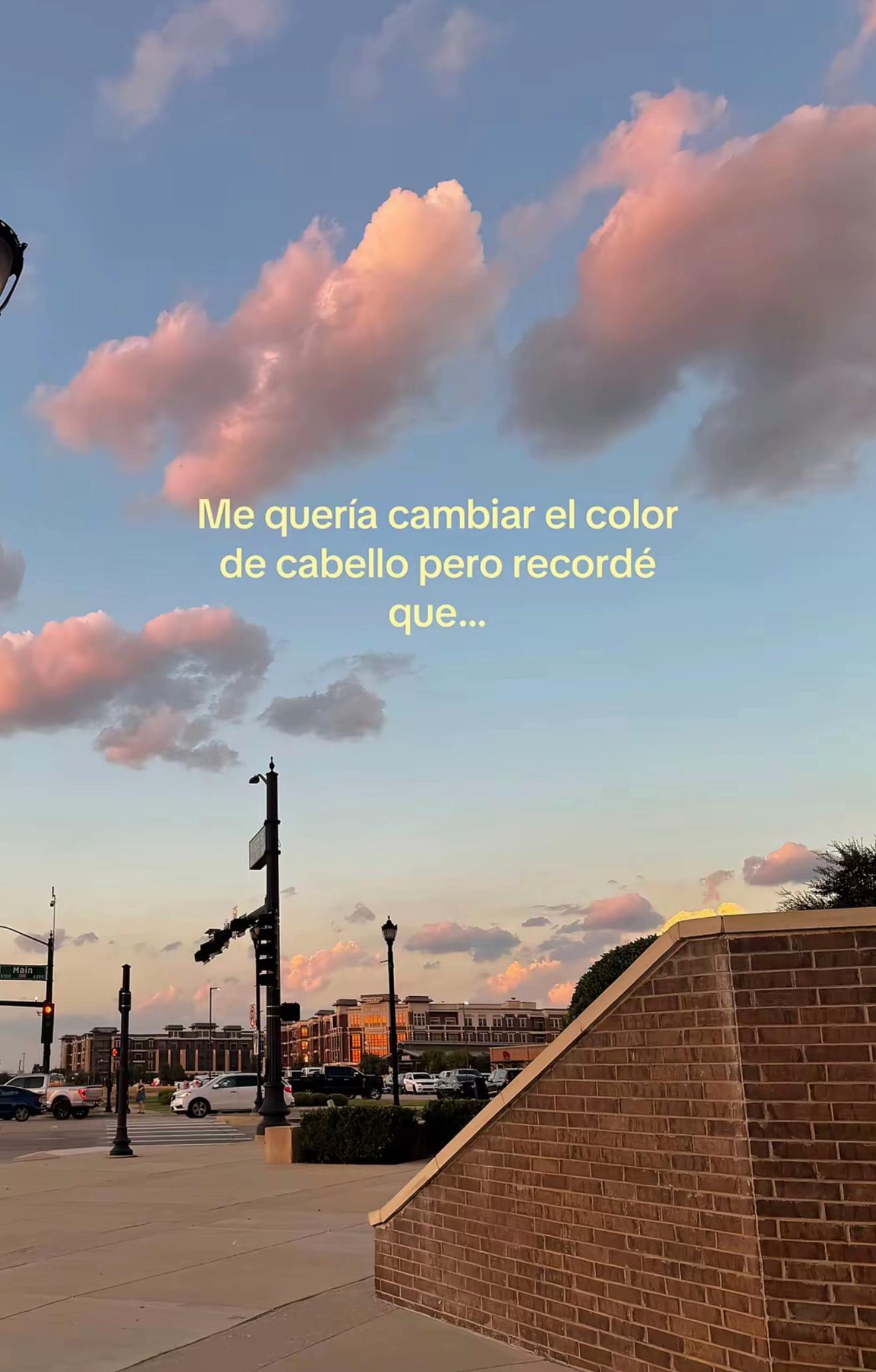 @tephyleon🥕