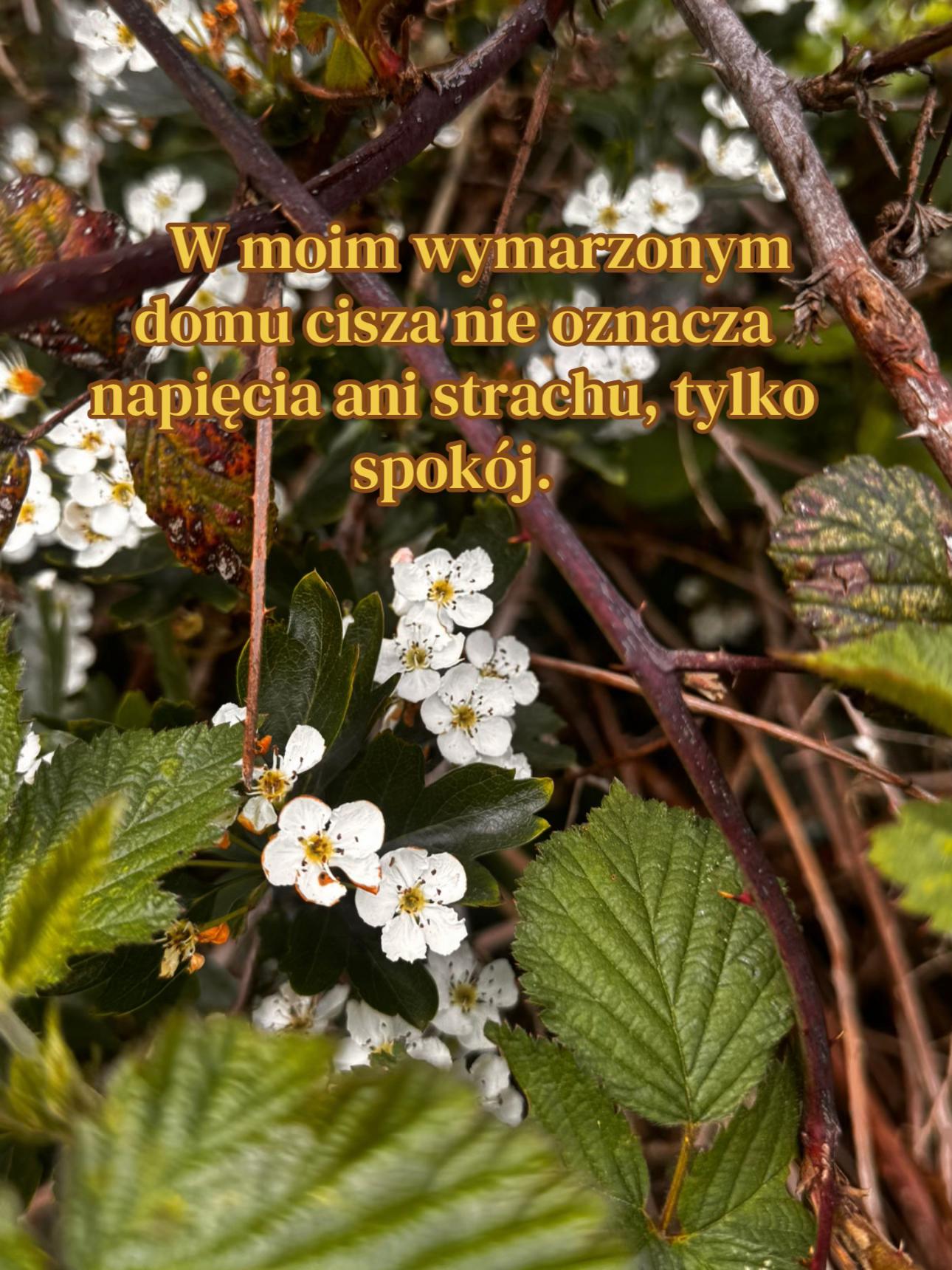 @Przebudzenie duchowe 👧👩🦳✨