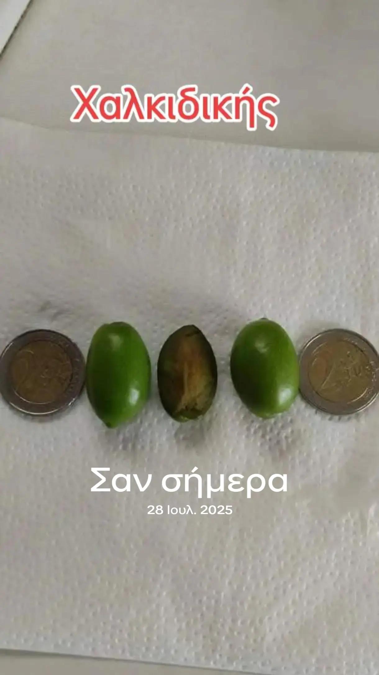 @&Alpha;&gamma;&alpha;&lambda;&iota;&alpha;&nu;ό&sigmaf; &Iota;&omega;ά&nu;&nu;&eta;&sigmaf; &Gamma;&epsilon;&omega;&pi;ό&nu;&omicron;&sigmaf;
