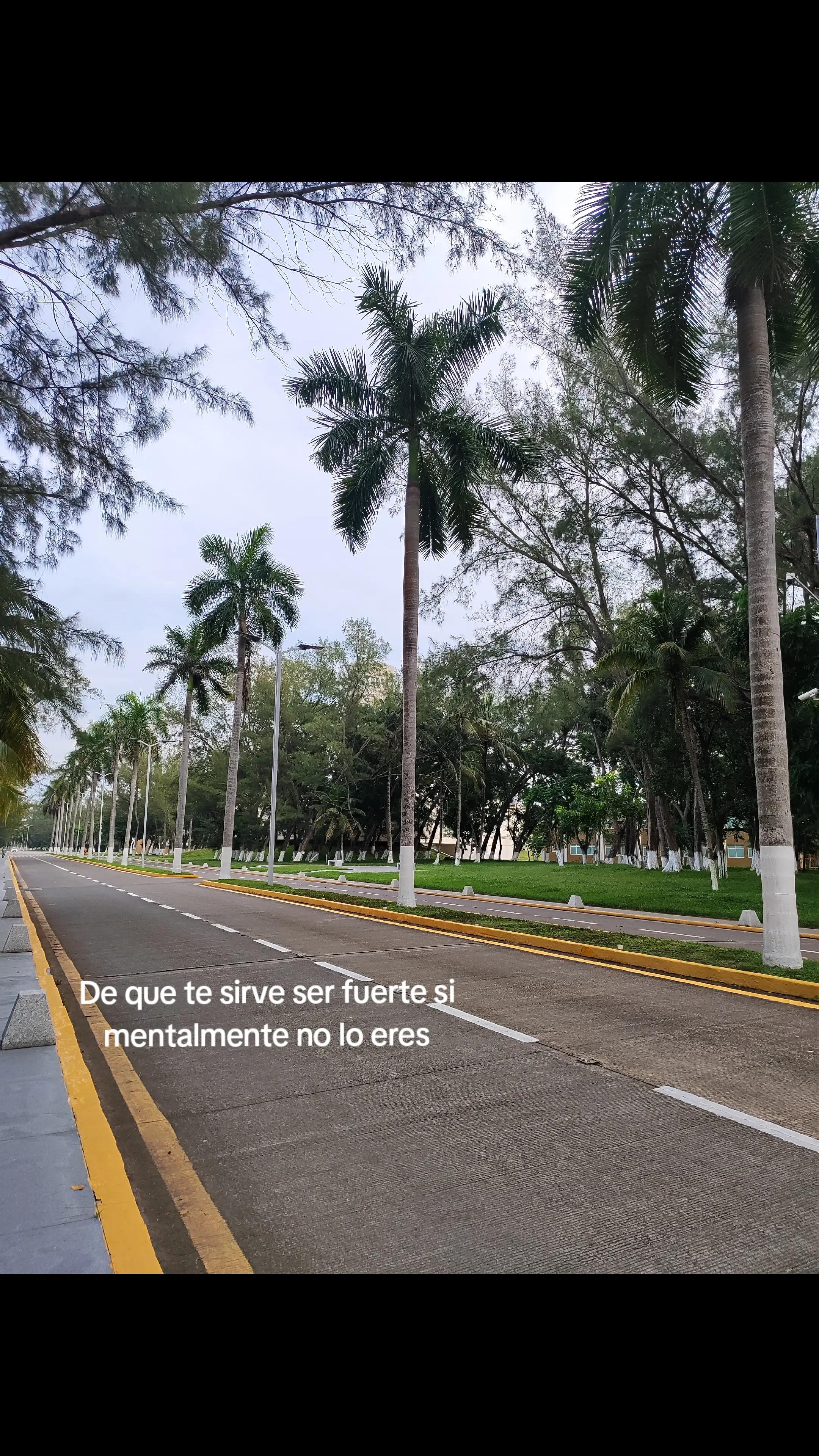 @Aguilar ⚓