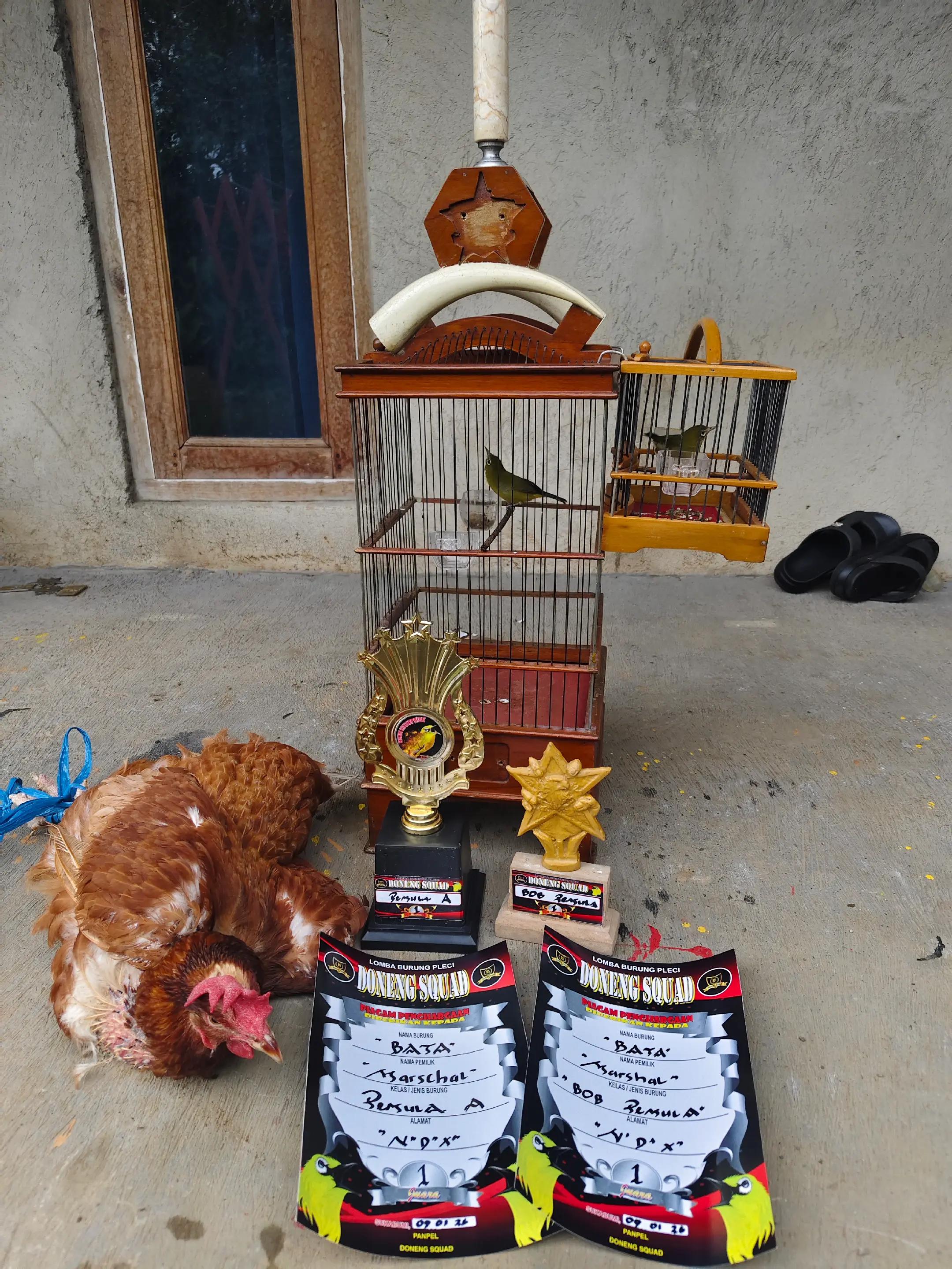 @NDX BIRD FARM