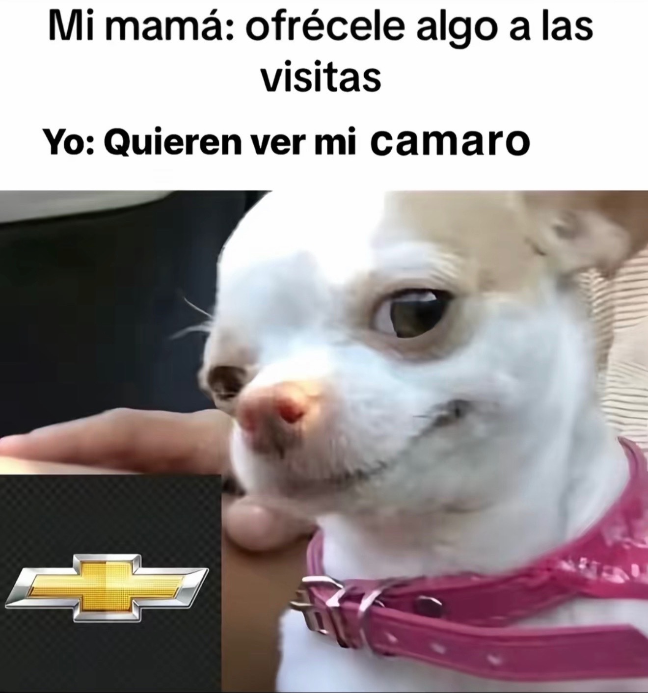 @AndyZL1