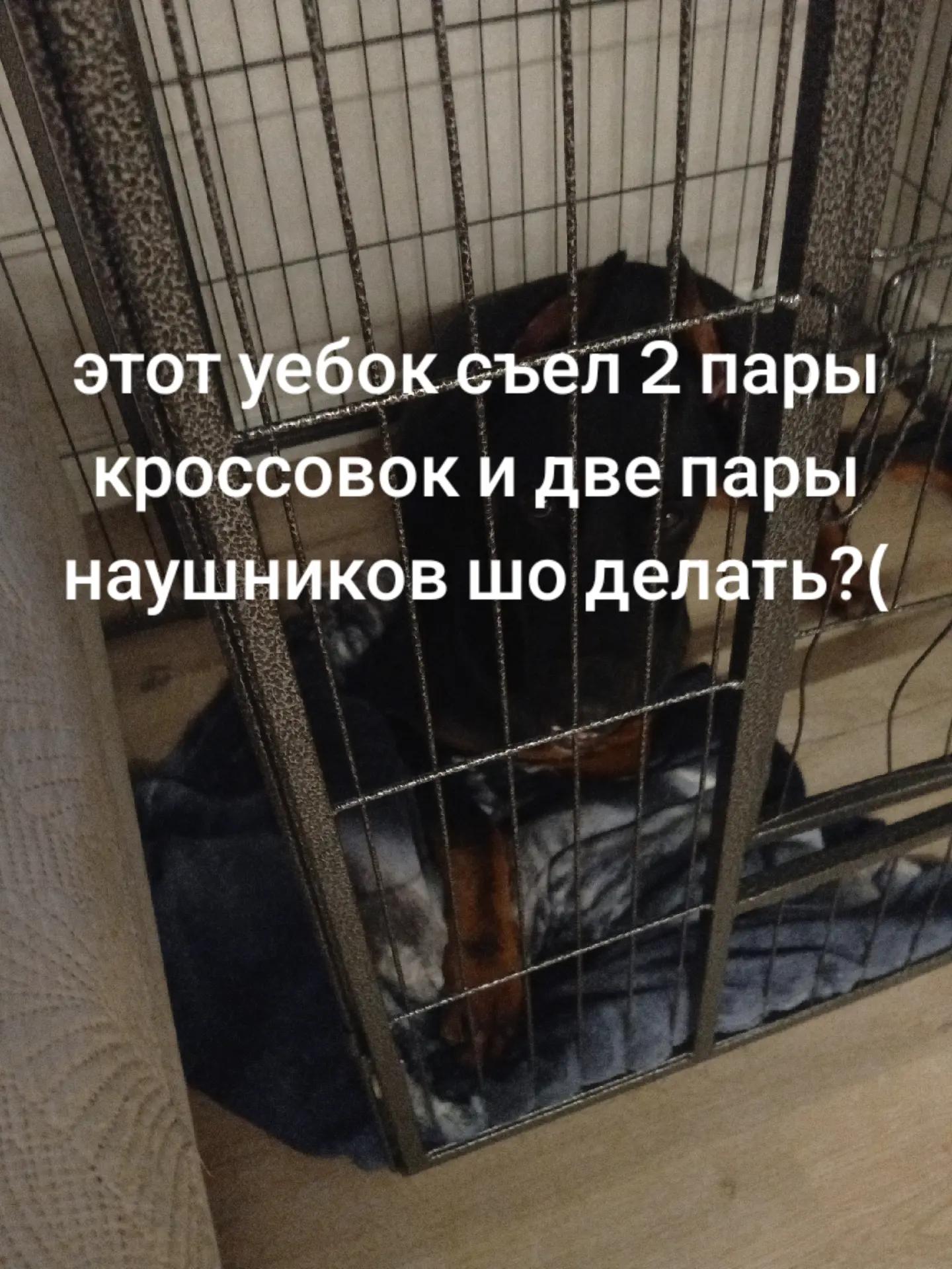 @Челябинск здарова !!! 74🇷🇺