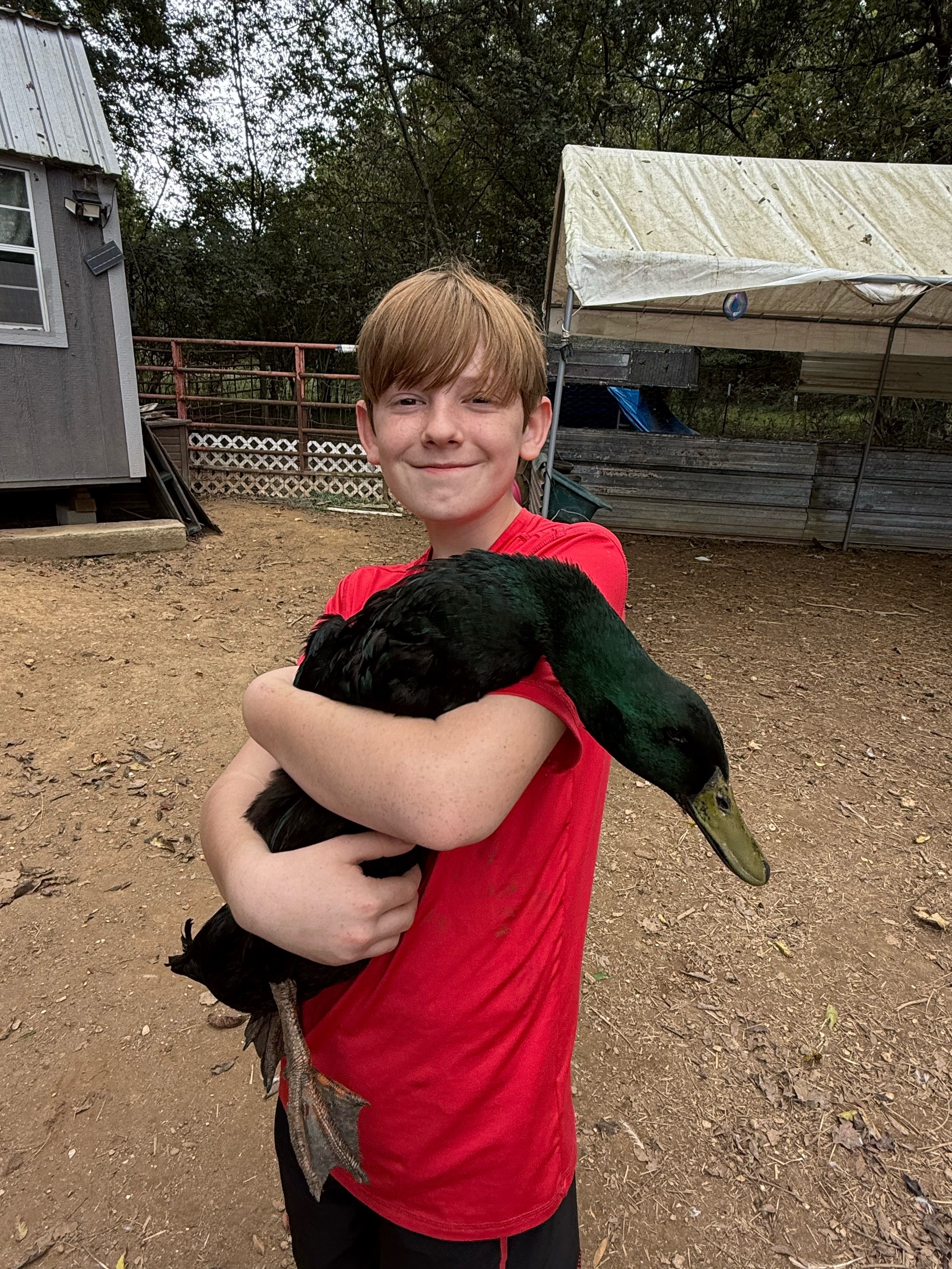 @JEPsFarm