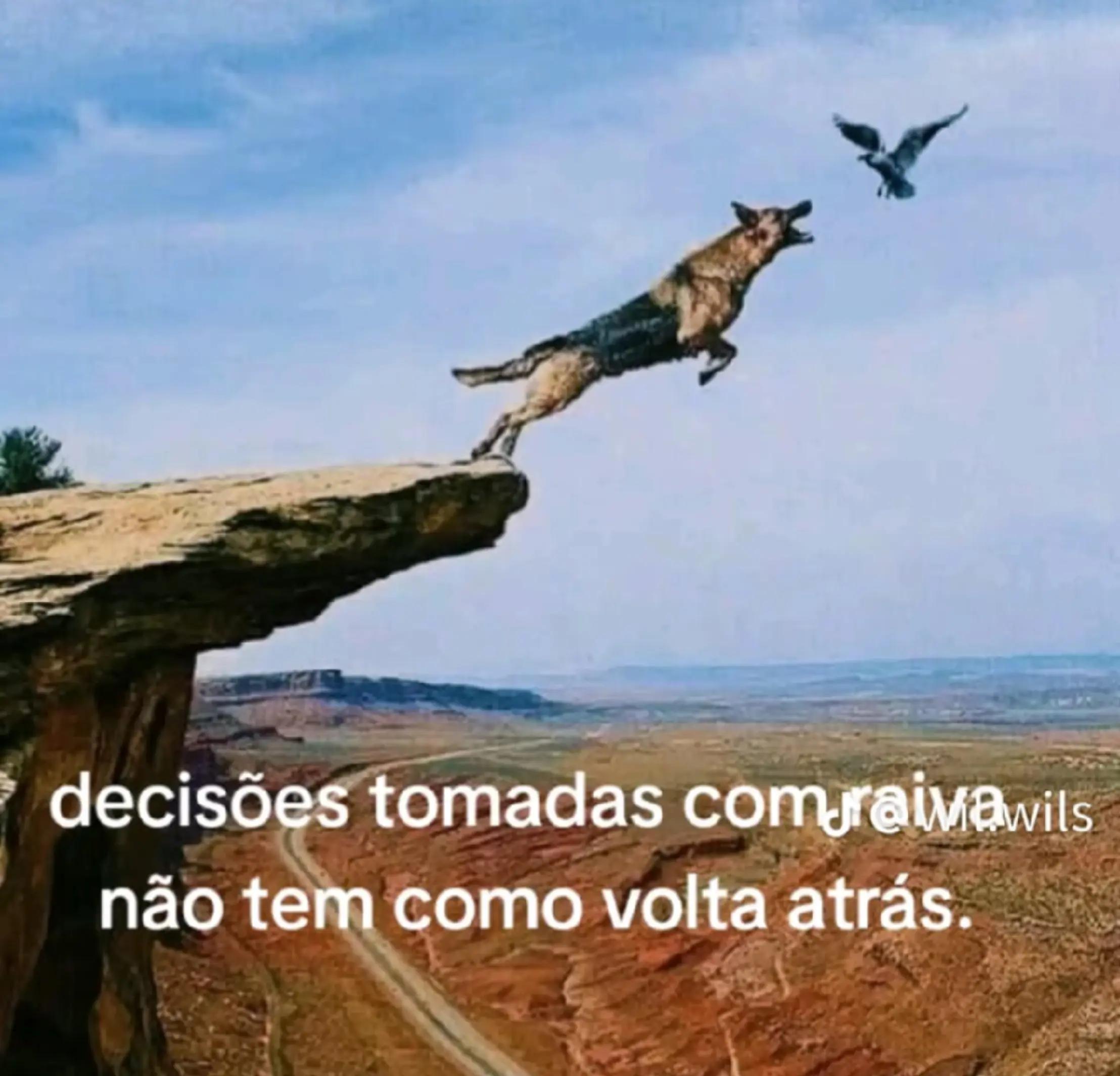 @marcosantos0105