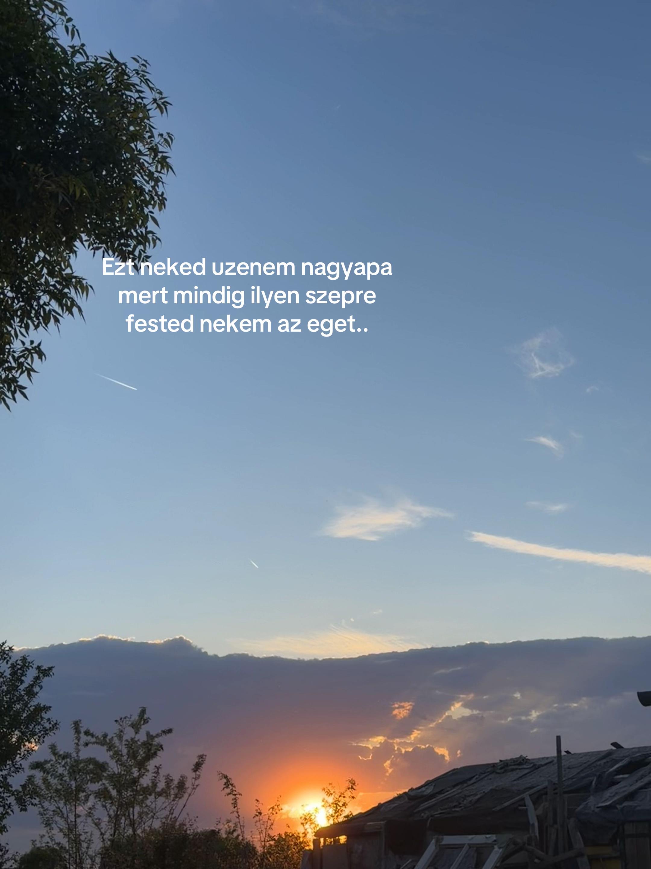 @𝒱𝒾𝓋𝒾