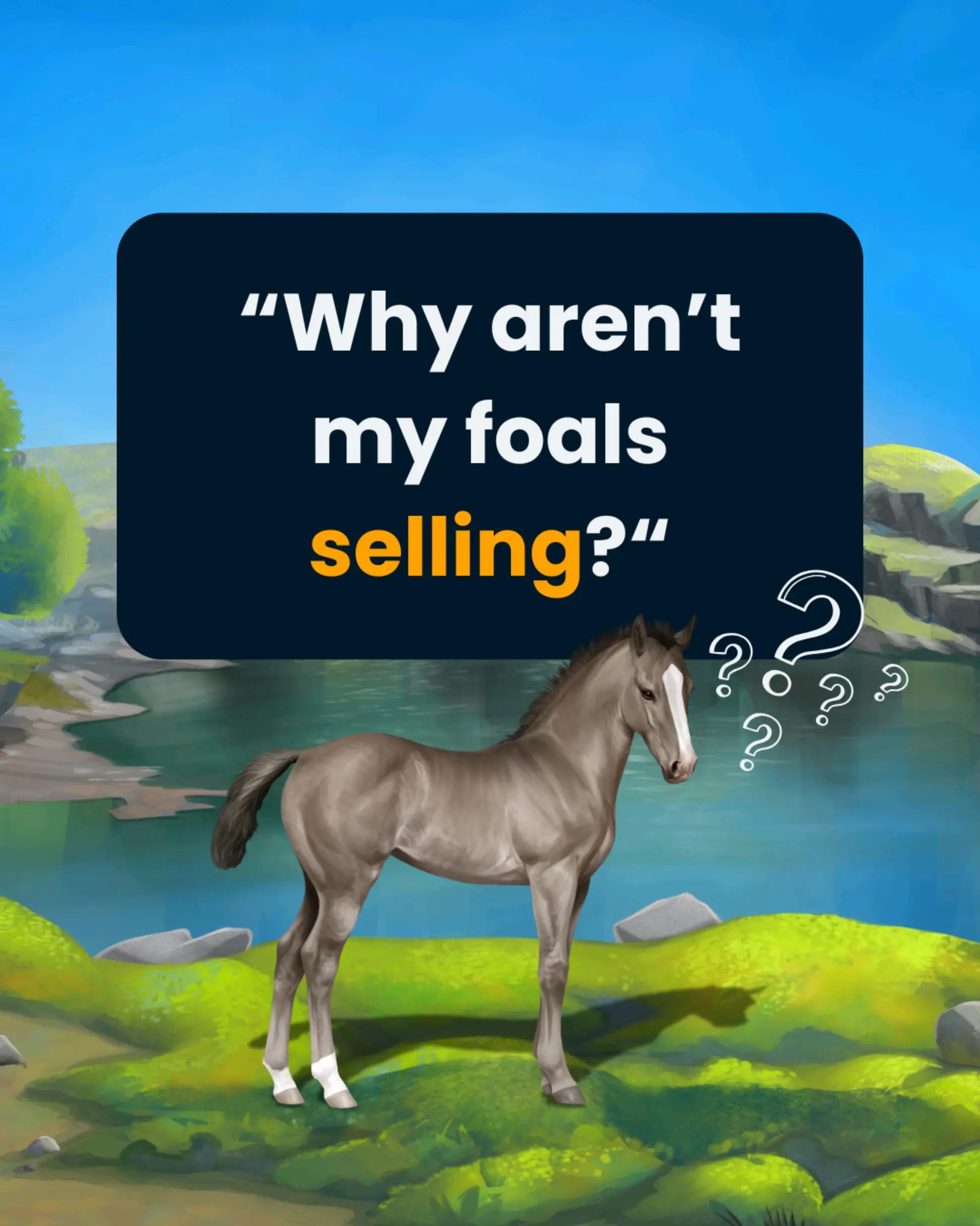 @Horse Reality