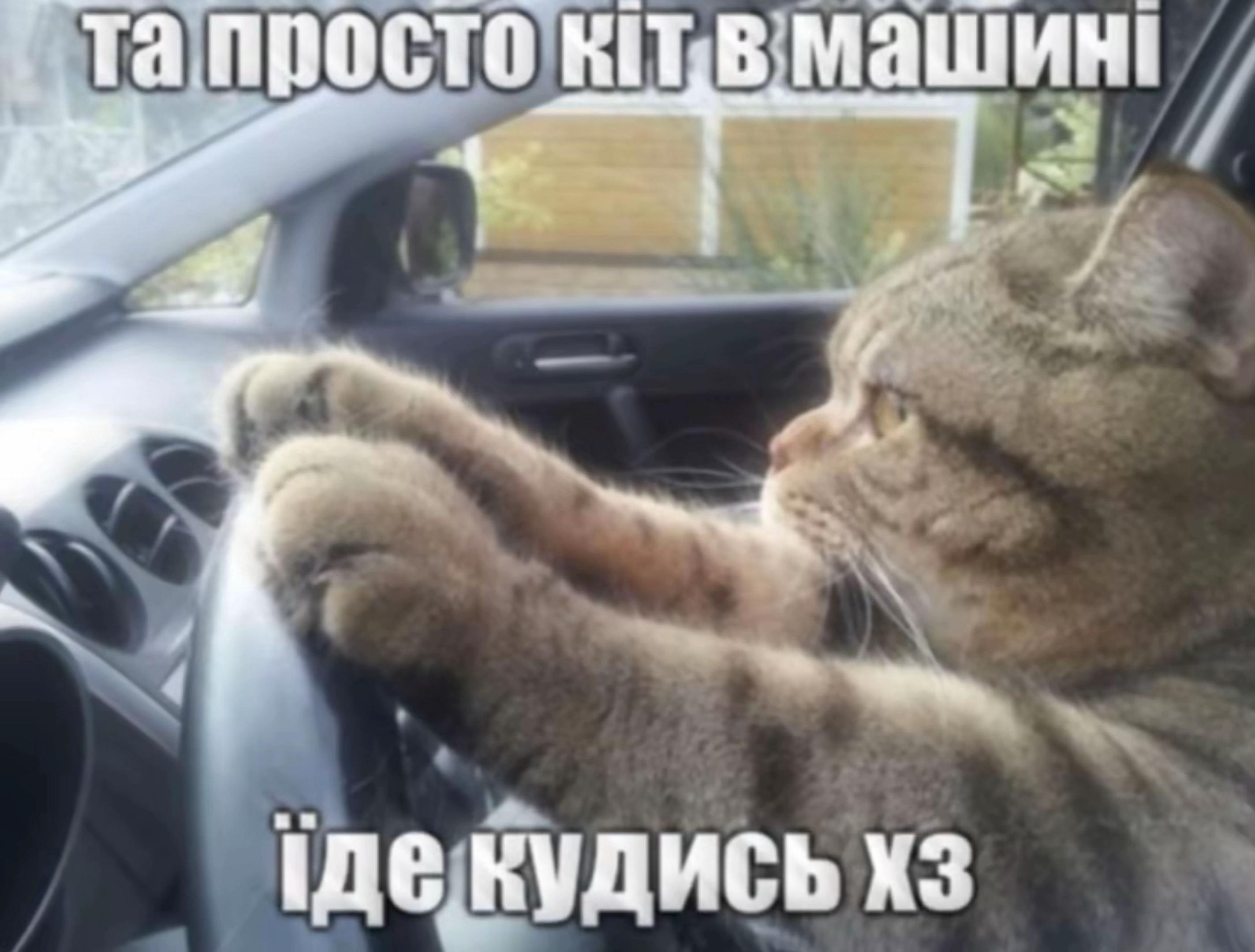 @ㅤ