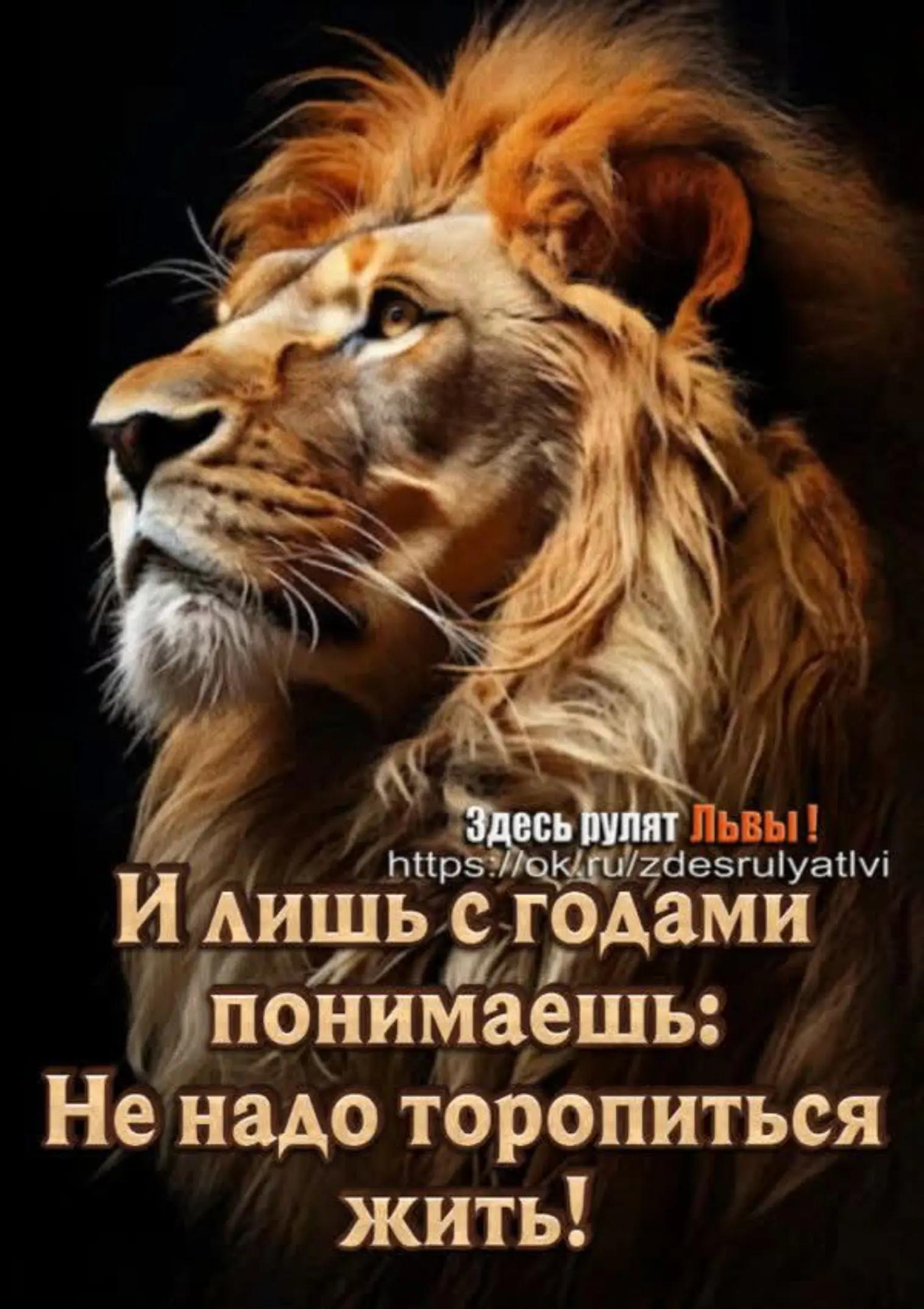 @erjan_talas