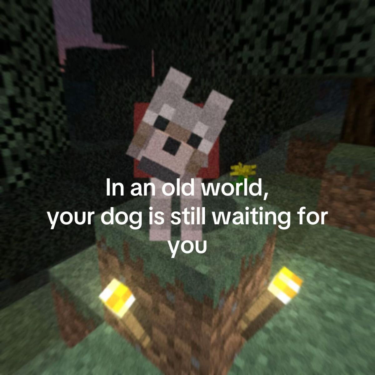 @𝔸𝕚𝕜𝕠