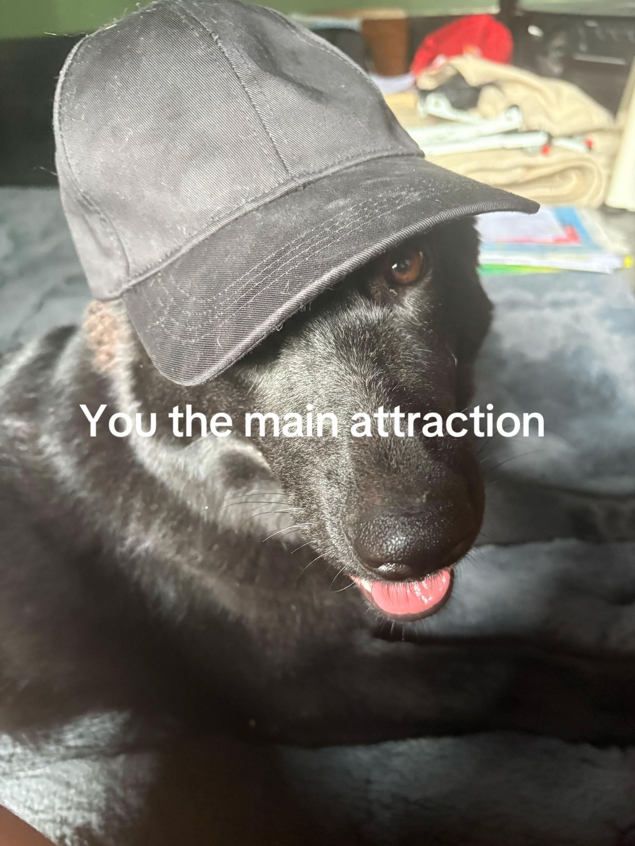 @Anni 🤪