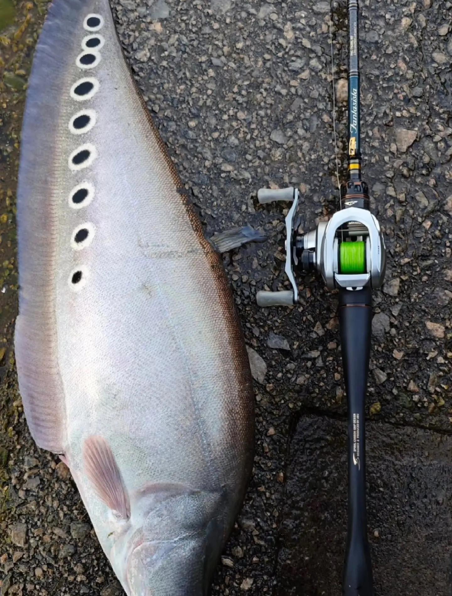@EB FISHING EUROPE