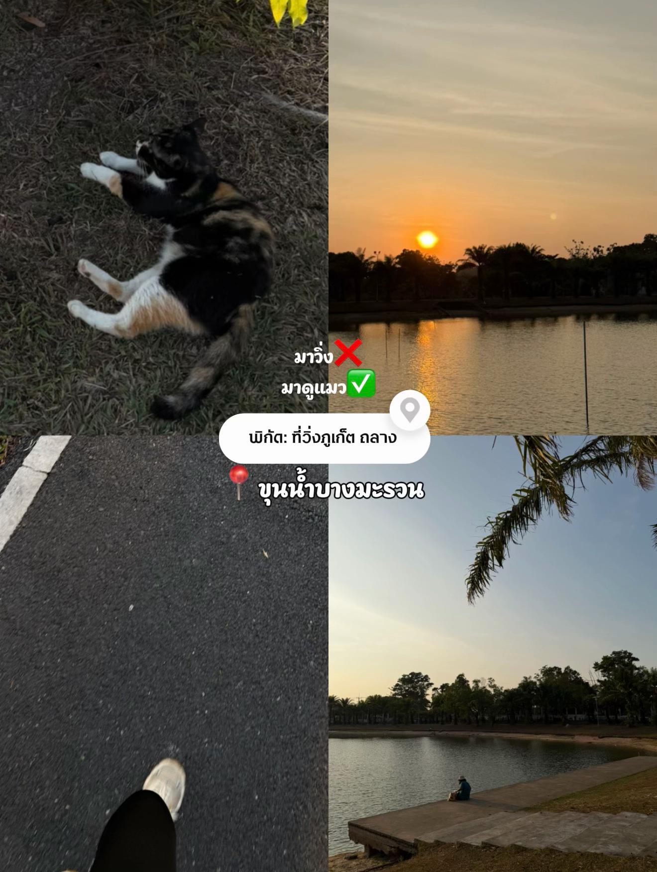 @Riyaroes🌙