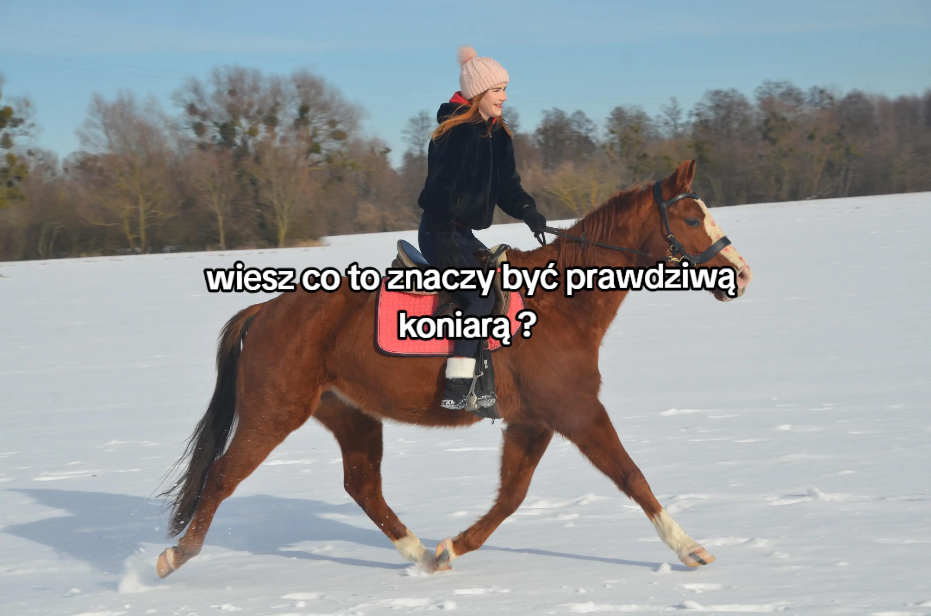 @🐎𝕄𝕒𝕣𝕚𝕒𝕟𝕟𝕒💕