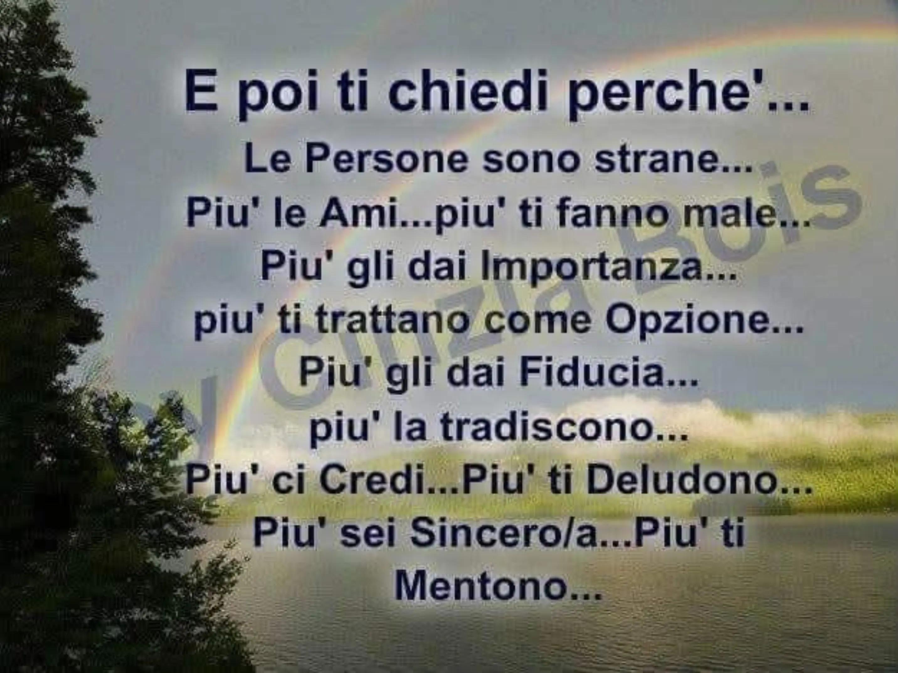 @massimopaniccia58