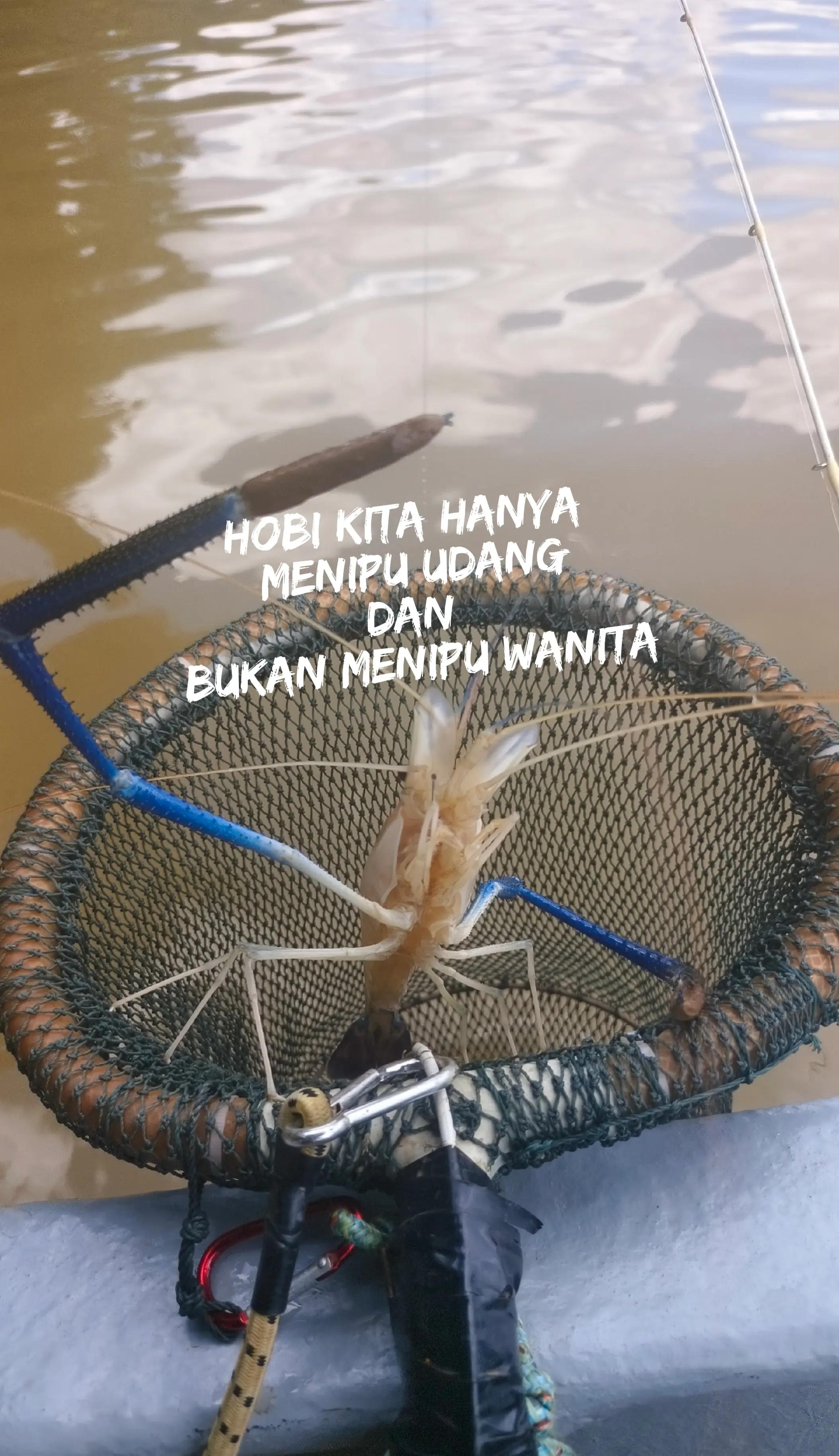 @Lanun Baram