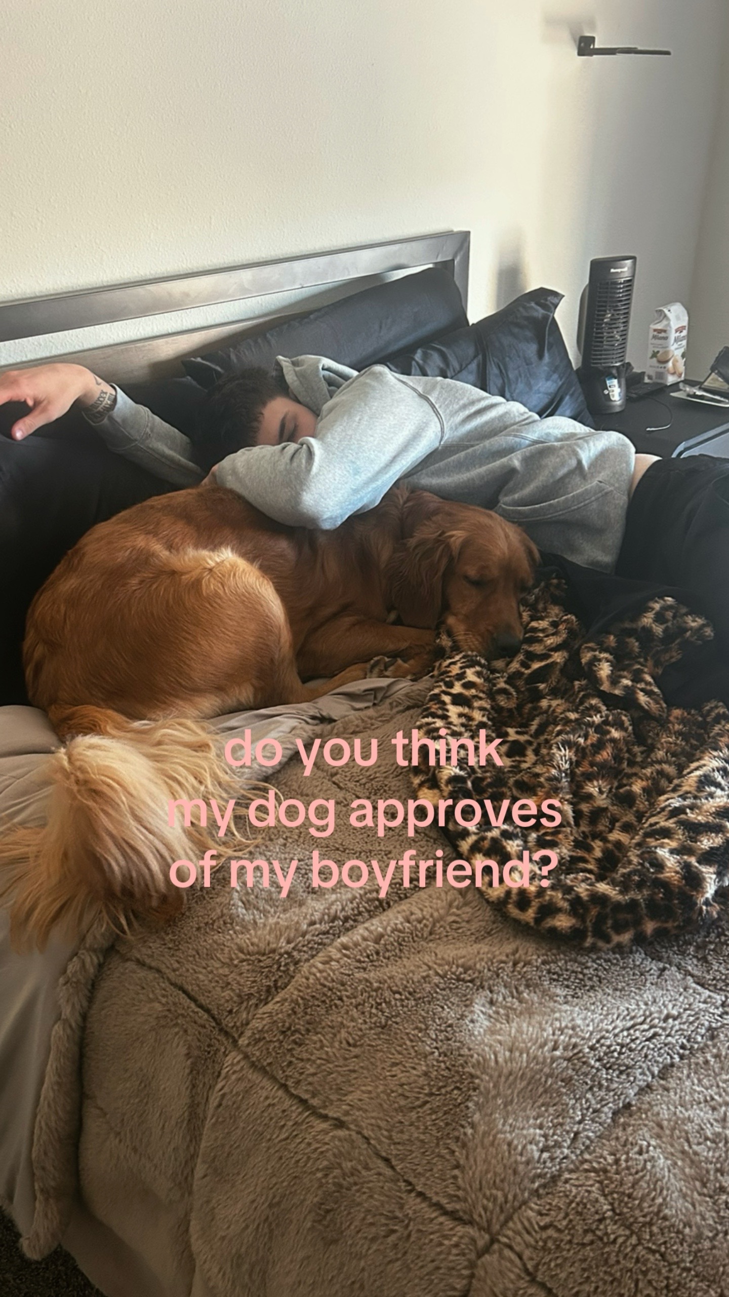 @udontknomefr