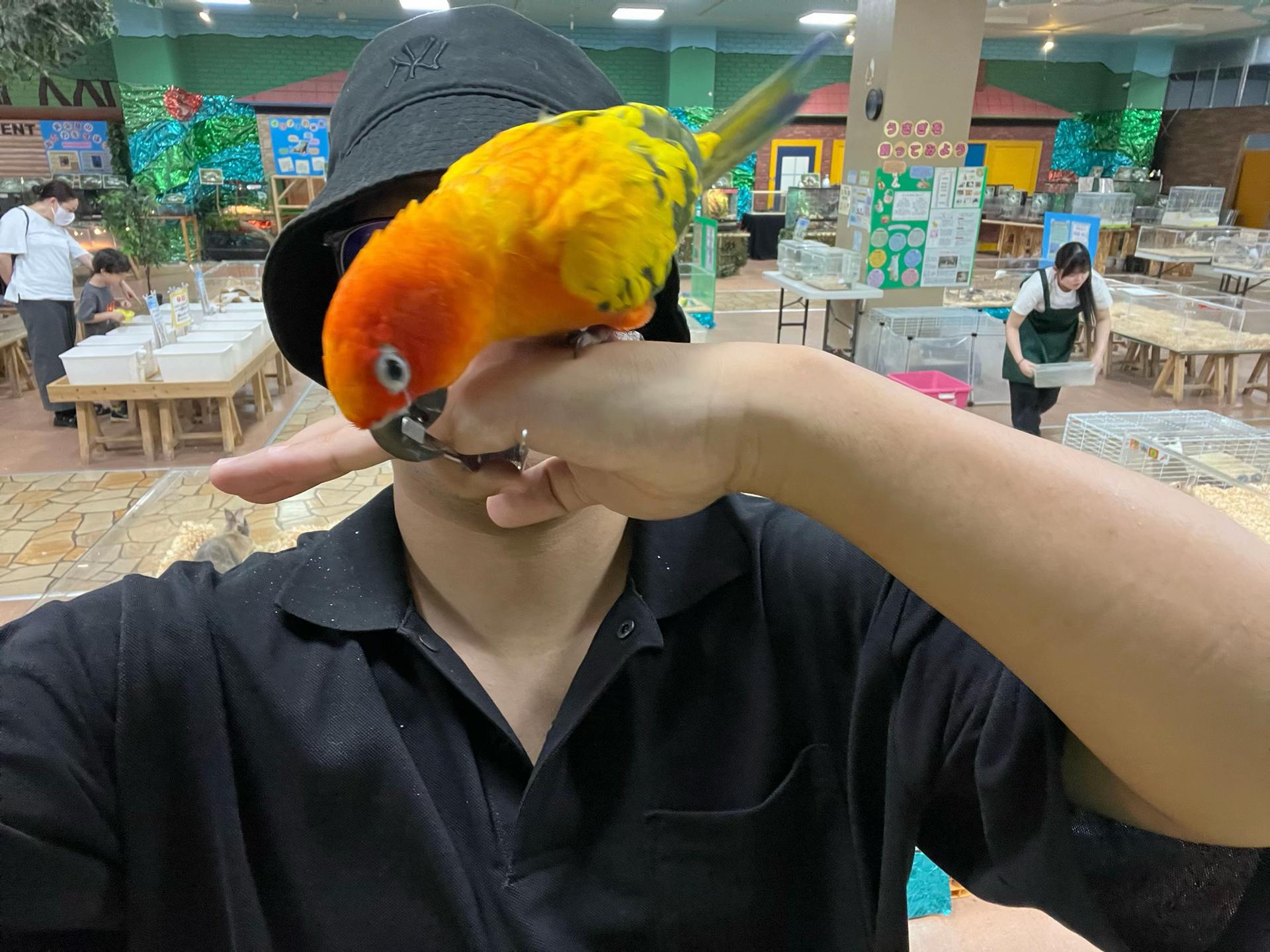 @れい