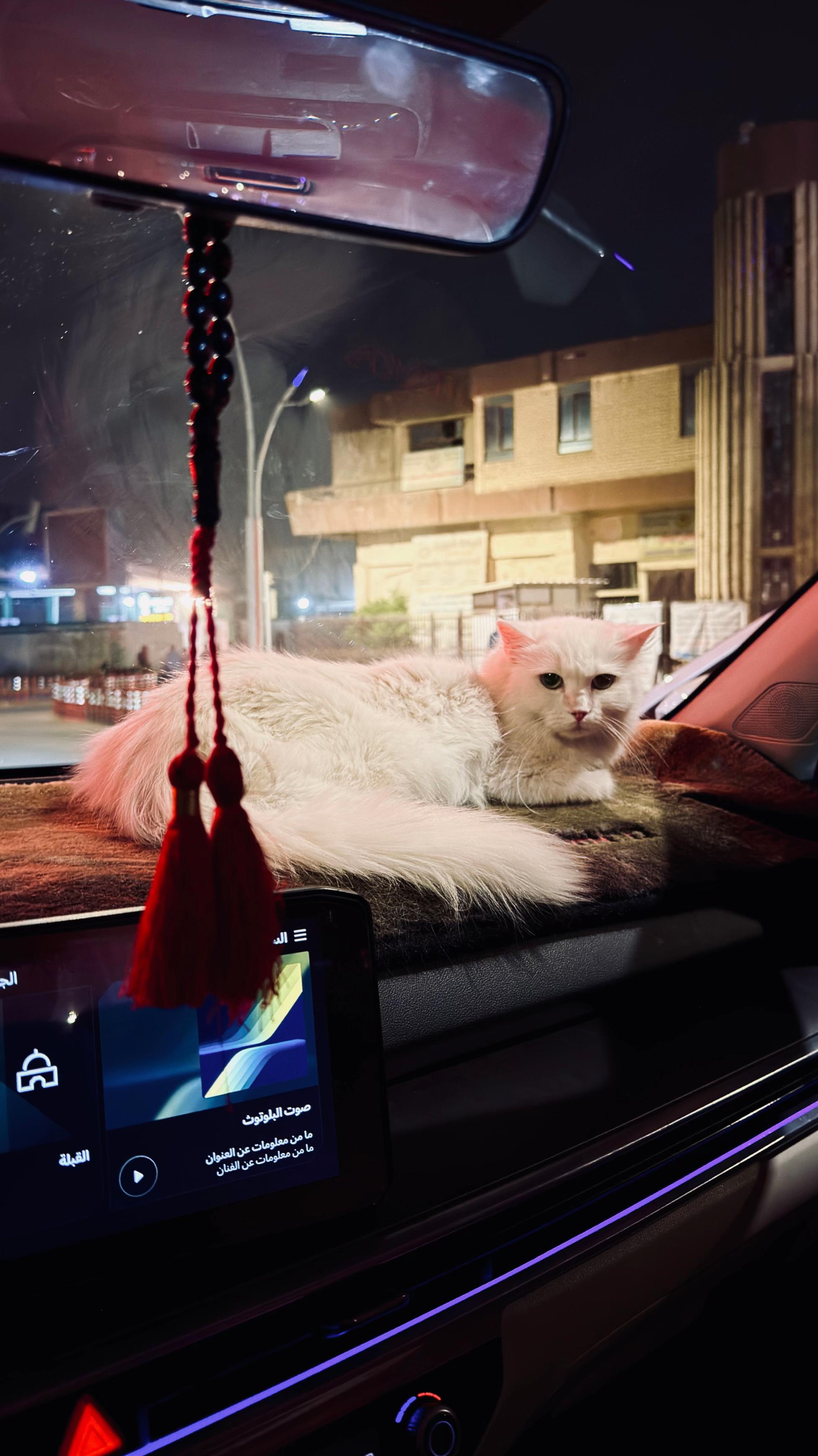 @اسامه فؤاد| Osama Fouad