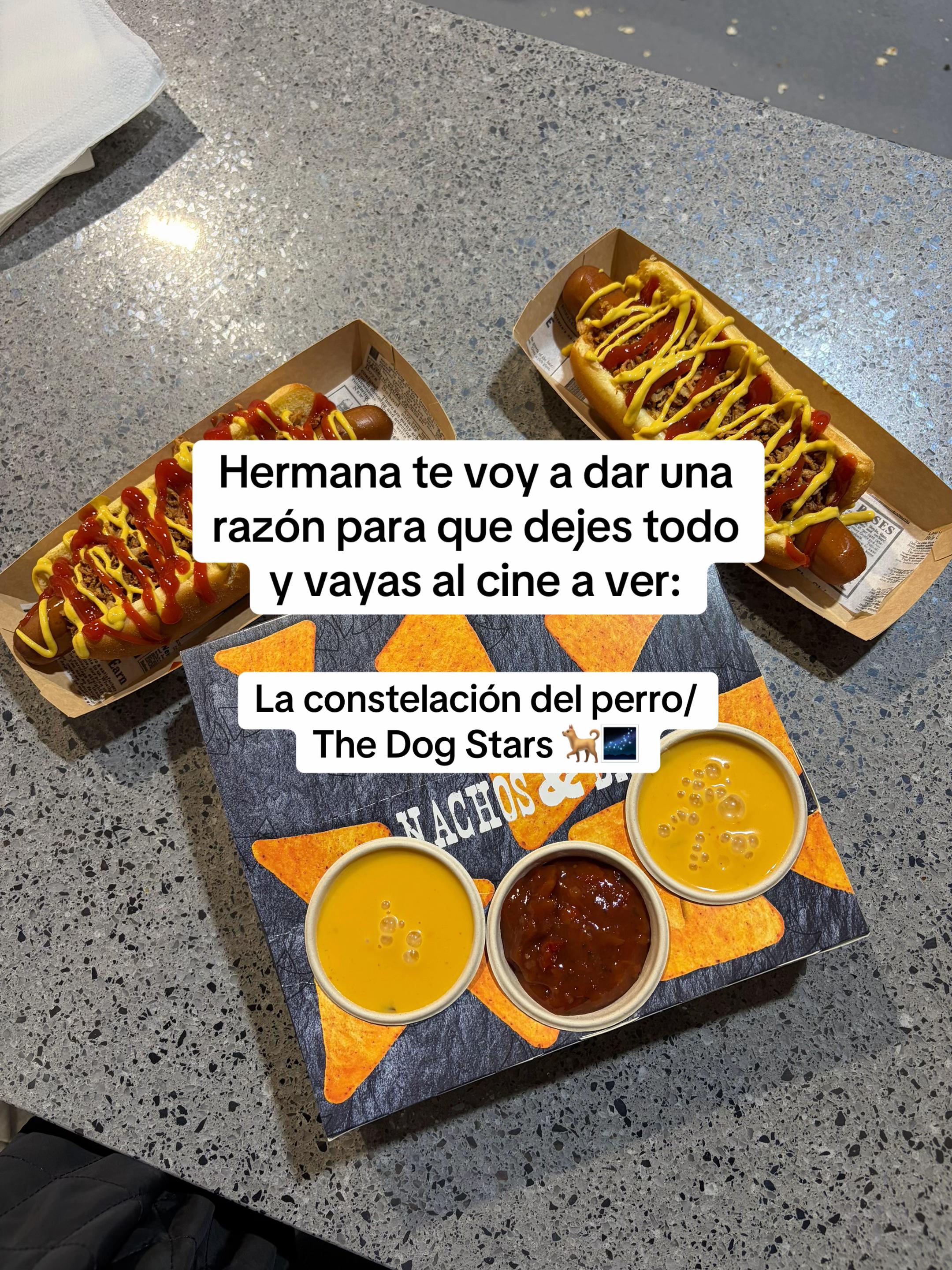 @ladanienspain