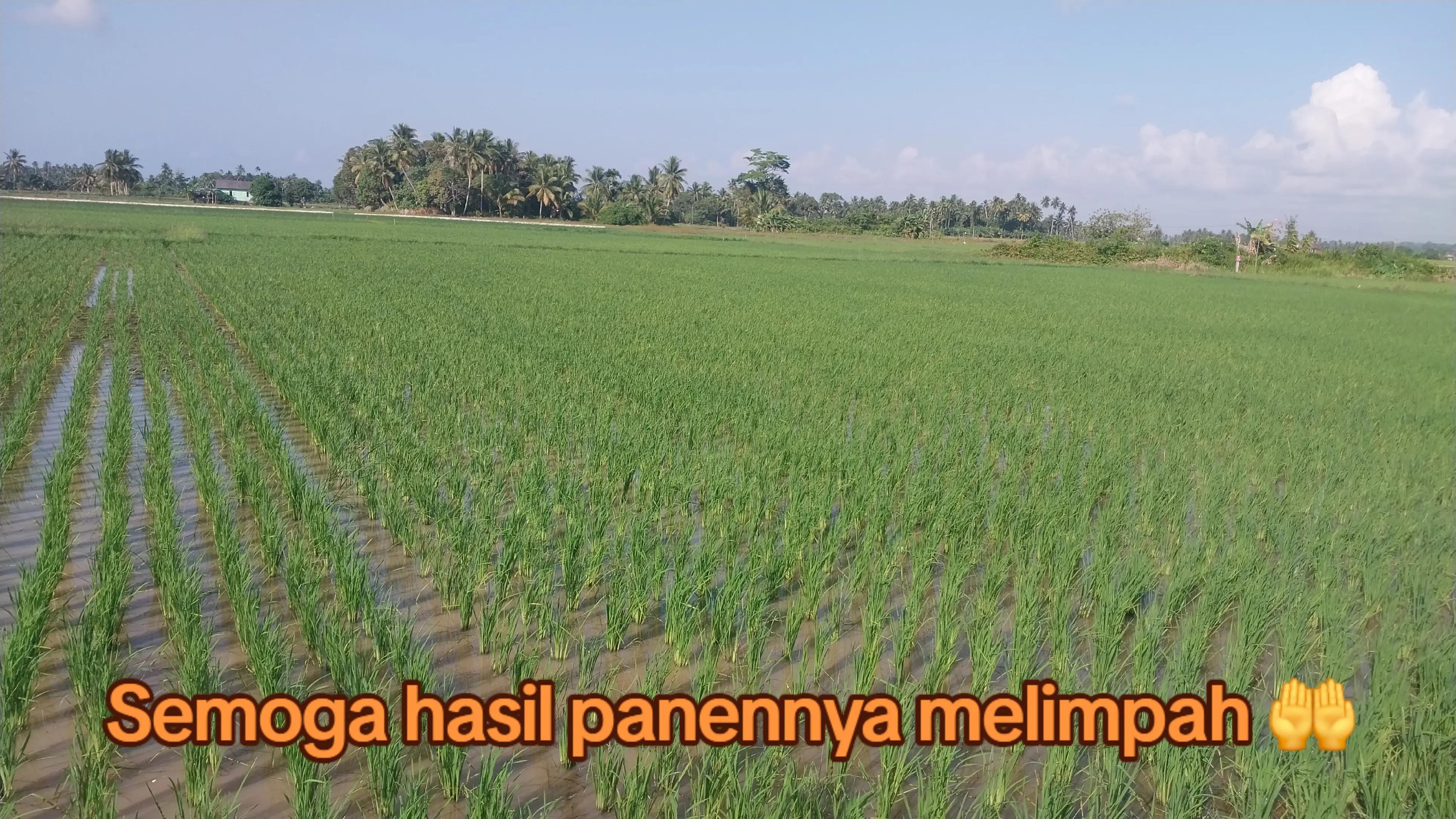 @rusmin_nuriyadin