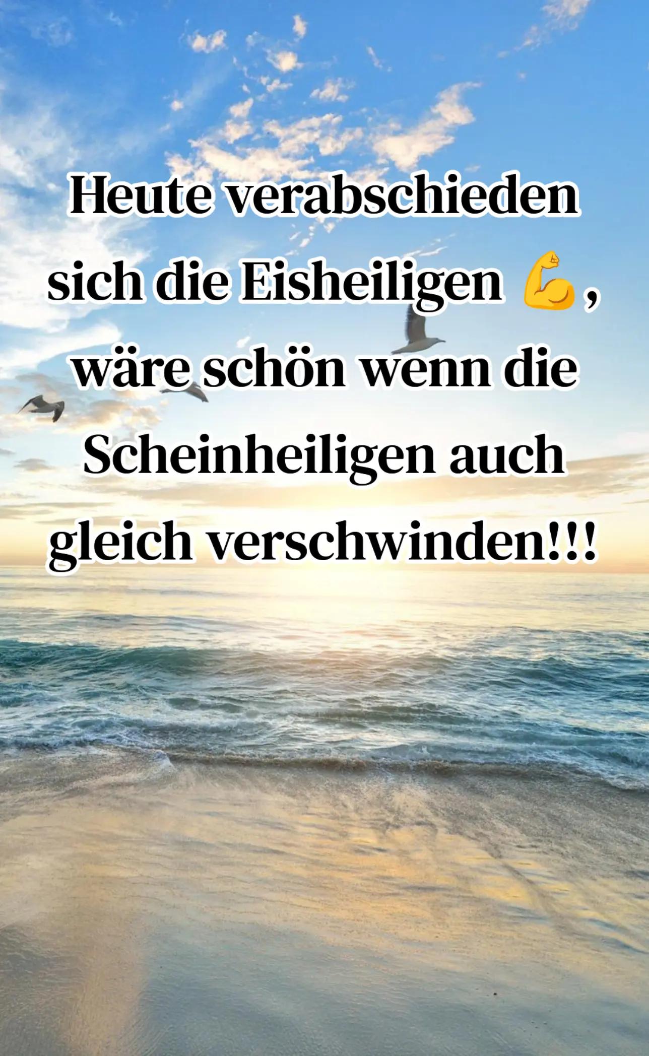 @🌺 NiCoLe 🌺