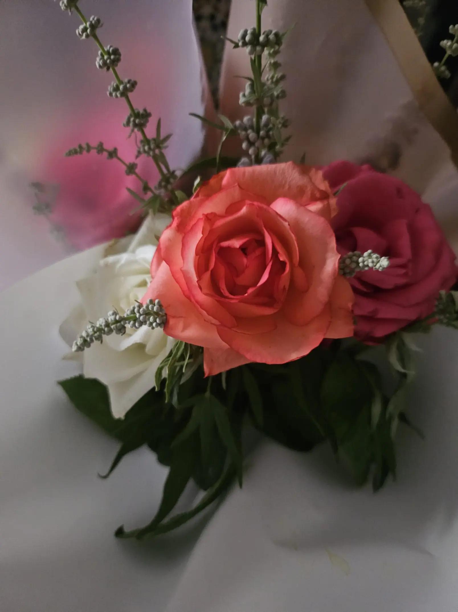 @🎀Emy🎀Rose