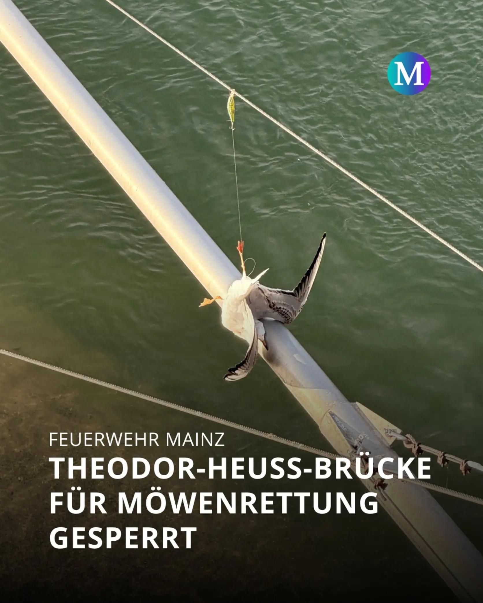 @Merkurist Mainz