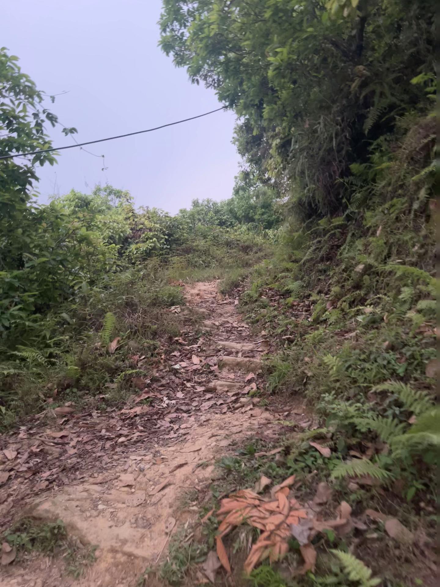 @शितल🤍