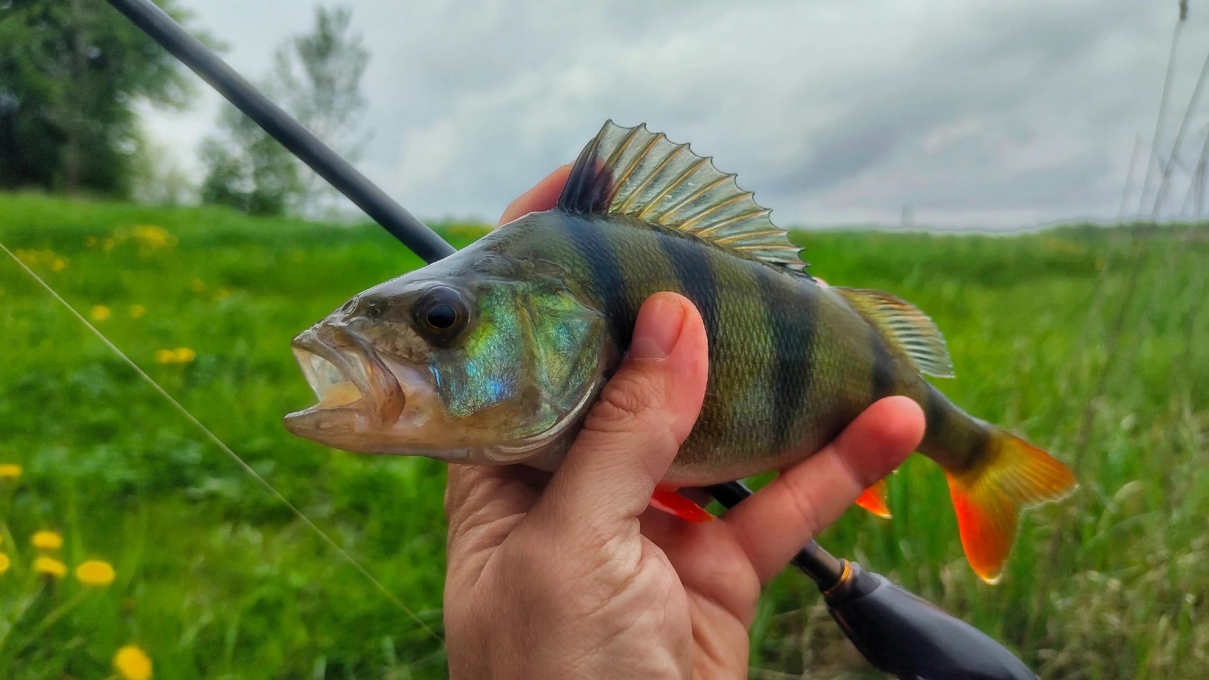 @hot_baits