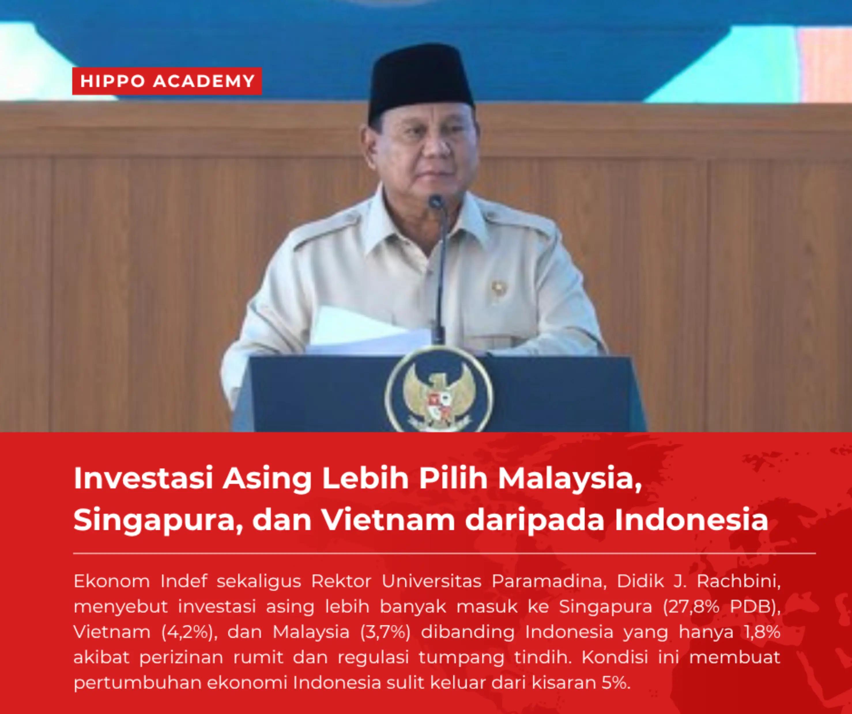 @hippoacademy.id