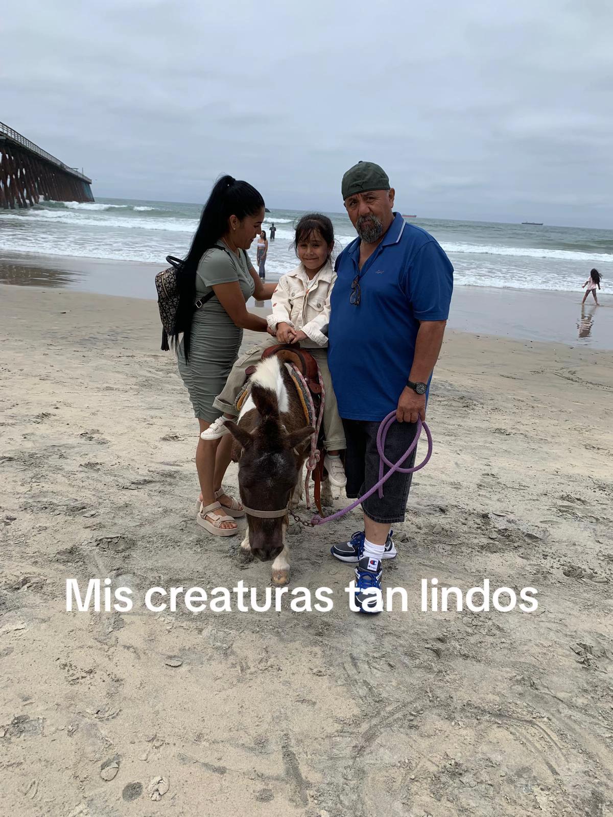 @Arbolera