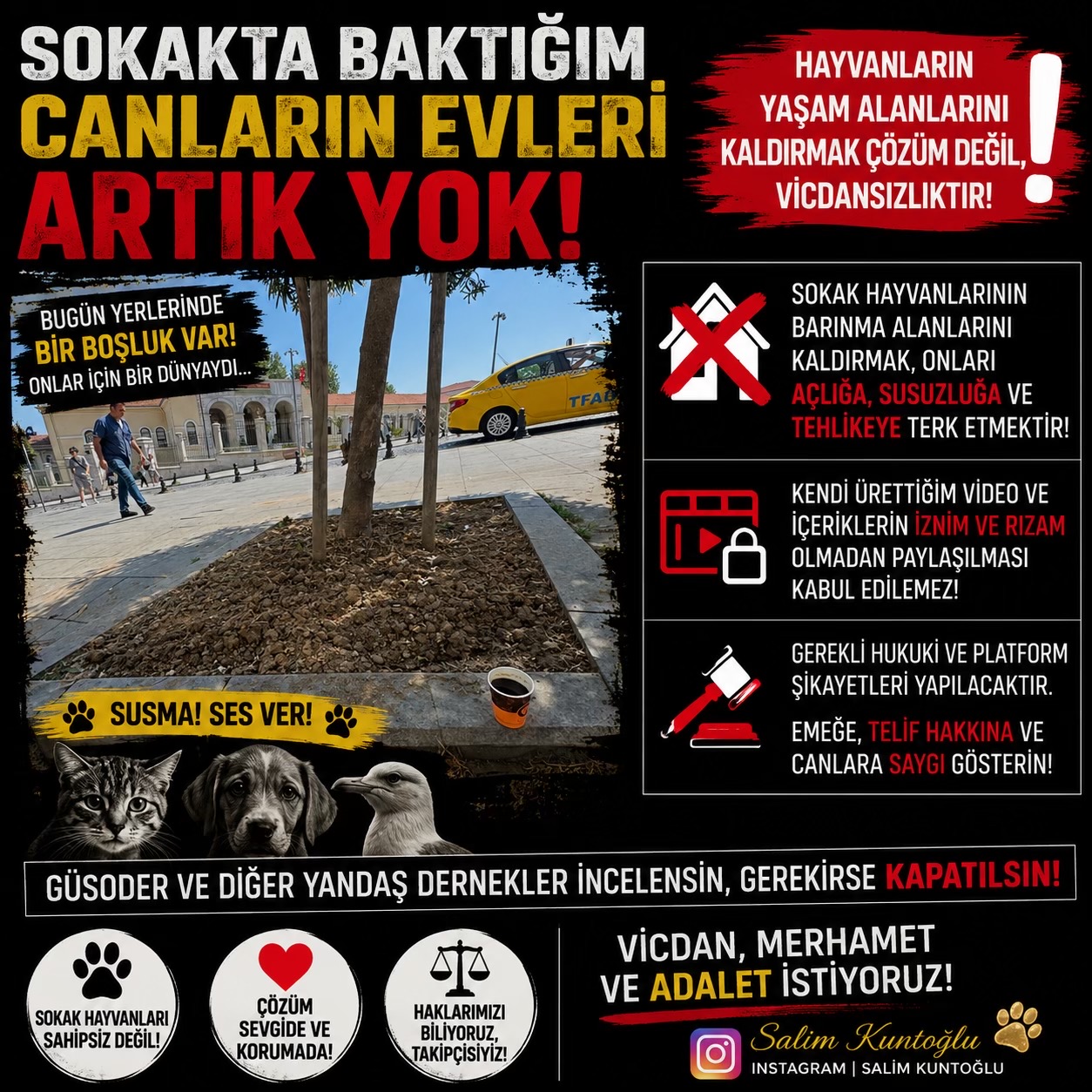 @Salim Kuntoğlu