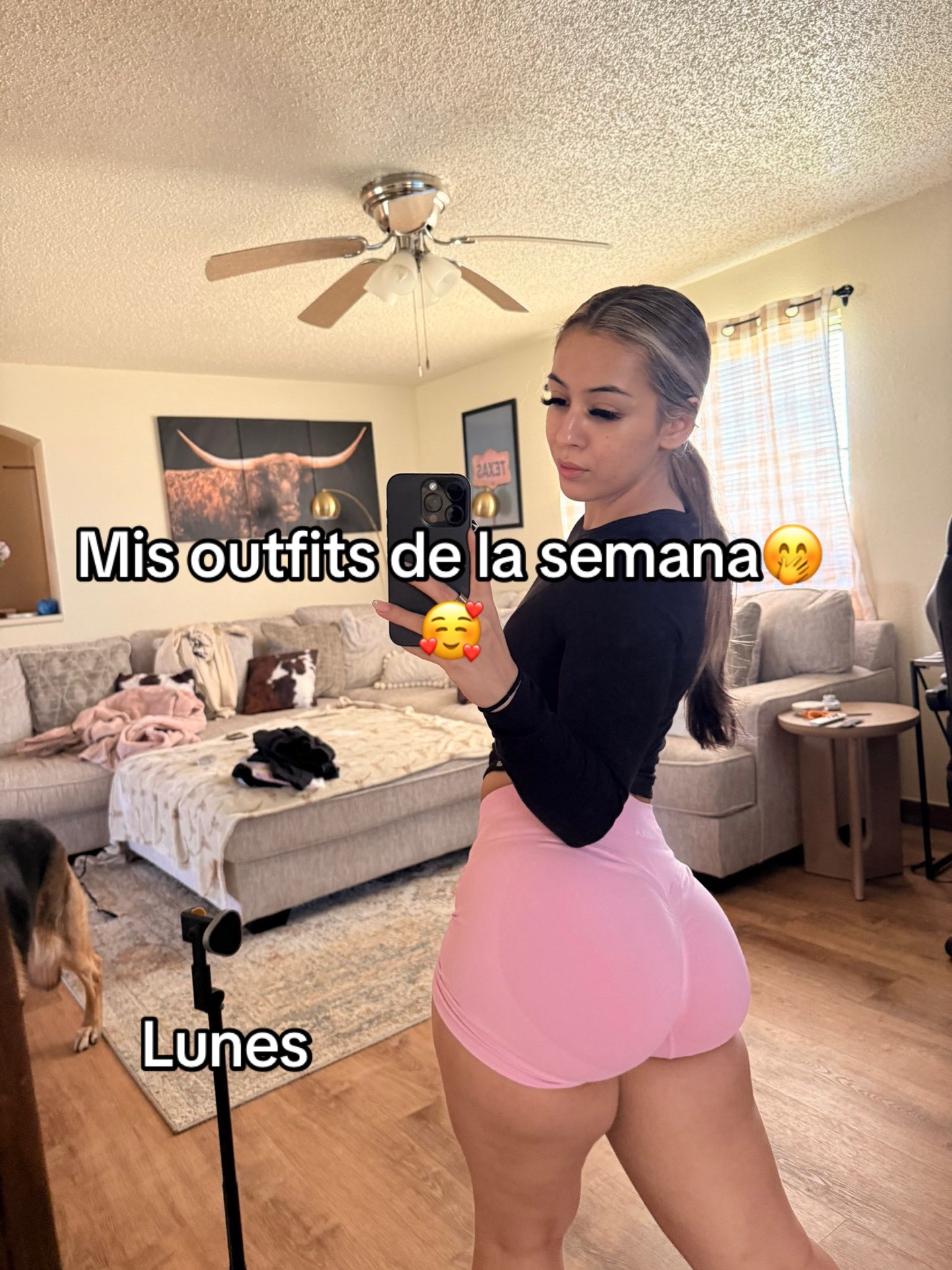 @catalina.botaniel