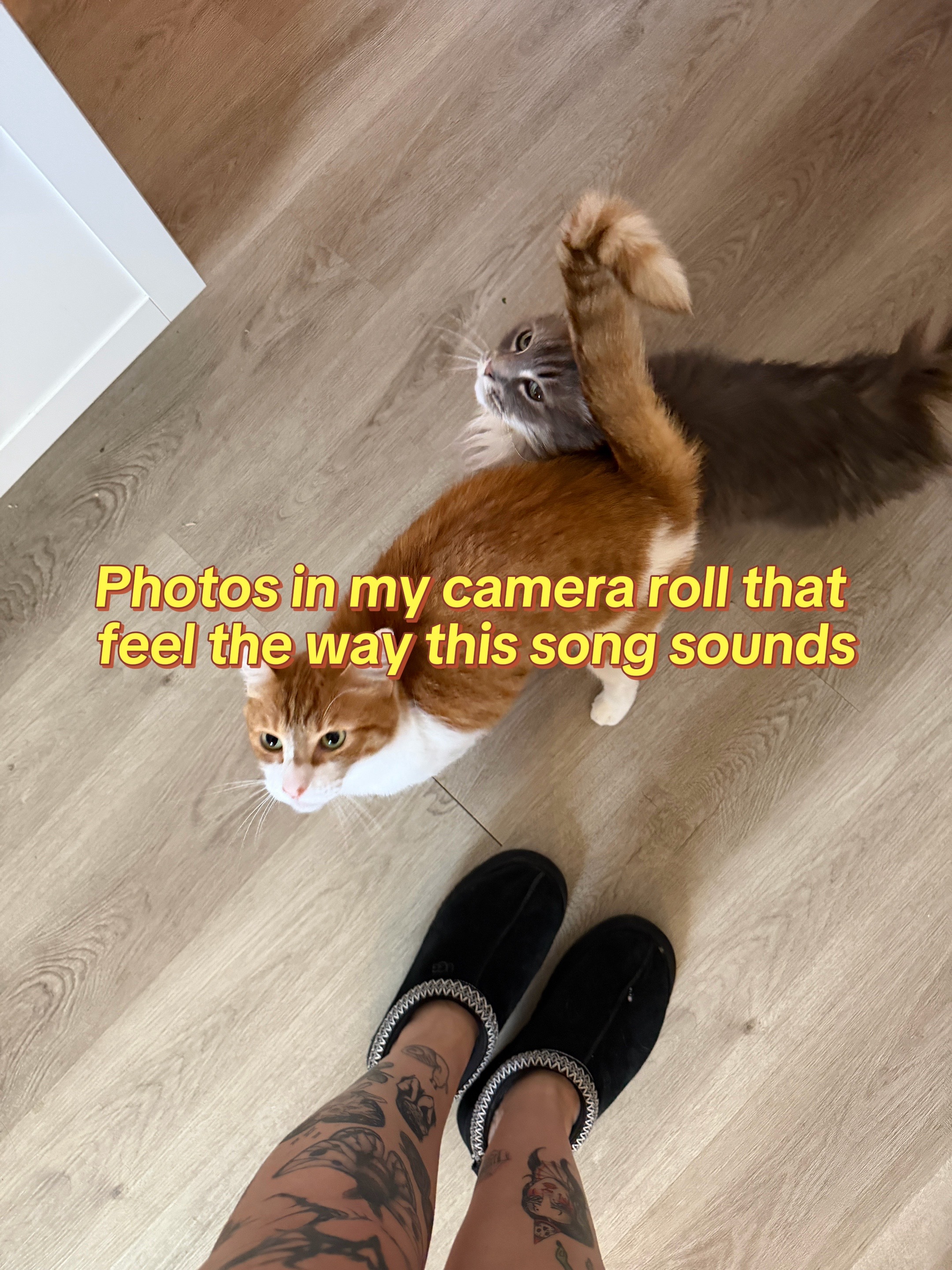 @Ariel Who